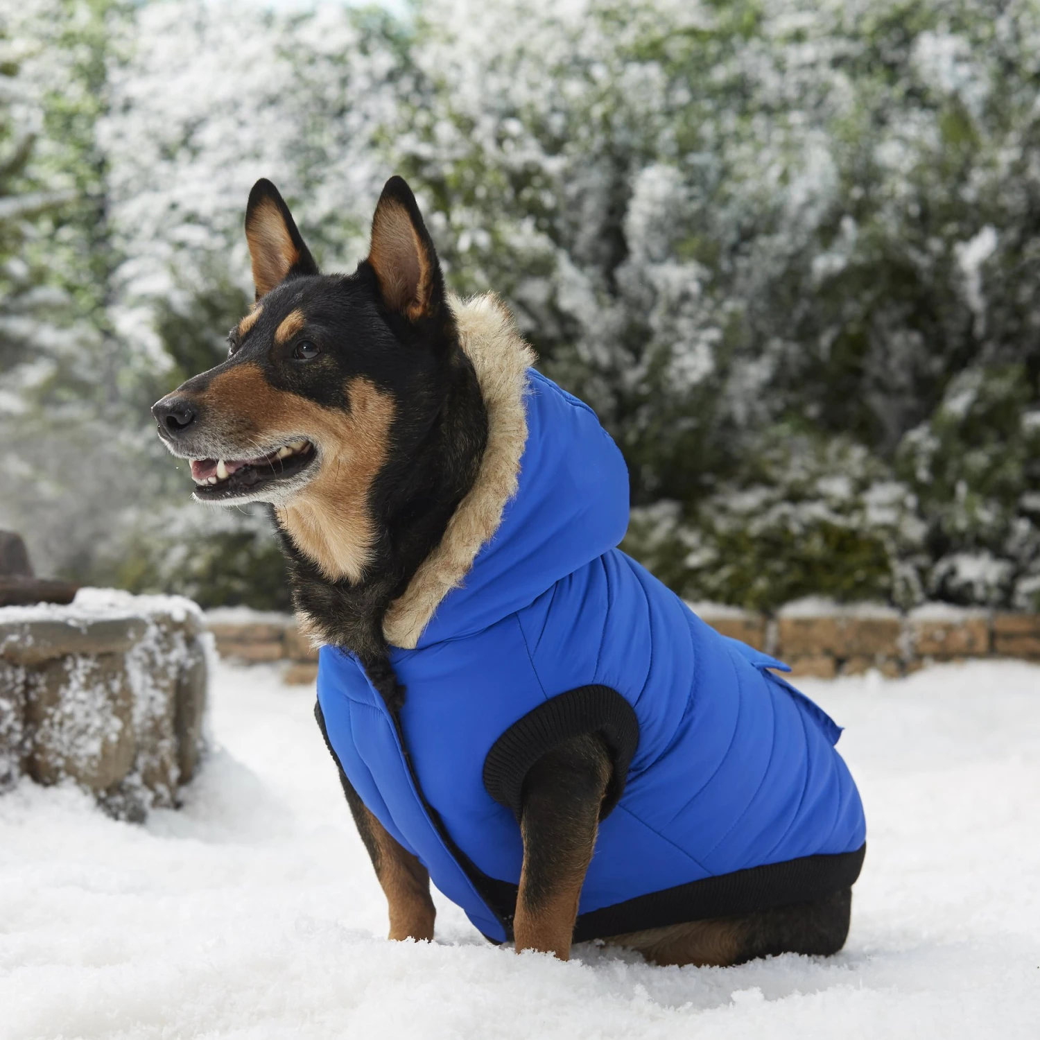 Frisco Heavyweight Anchorage Insulated Dog & Cat Parka