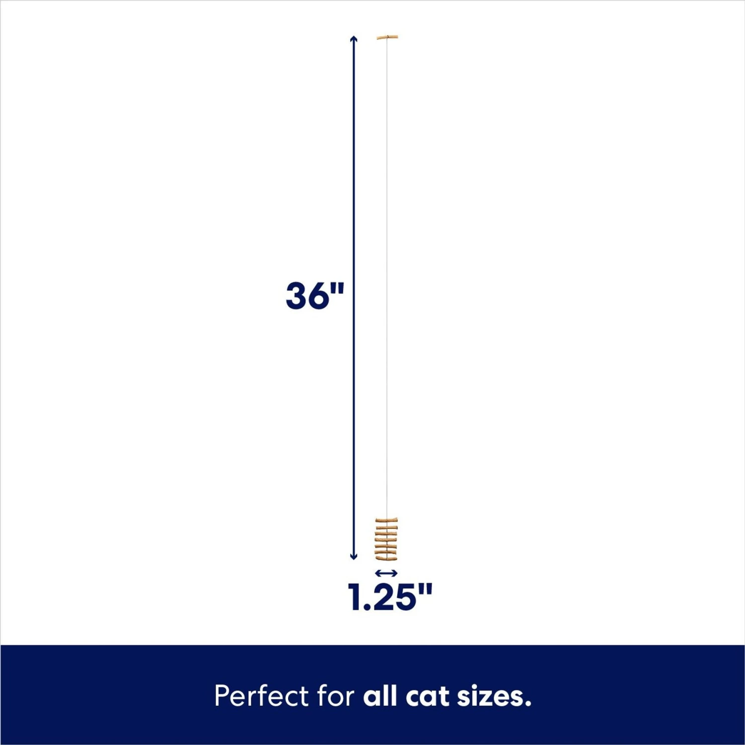 Frisco Cardboard & Wire Teaser Cat Toy