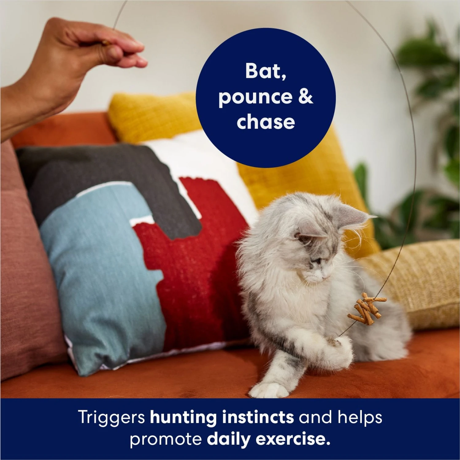 Frisco Cardboard & Wire Teaser Cat Toy