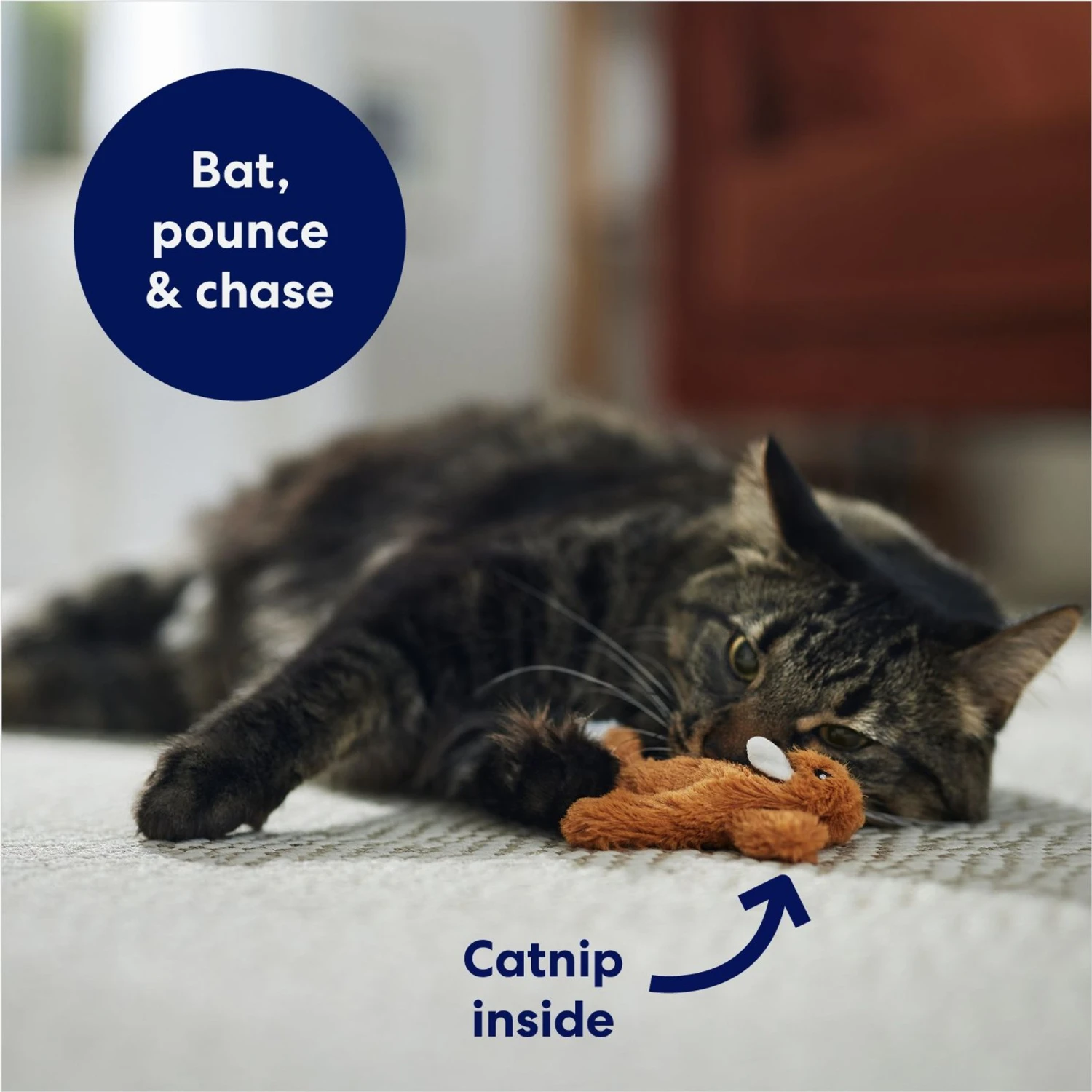 Frisco Squirrel Plush Cat Toy with Refillable Catnip