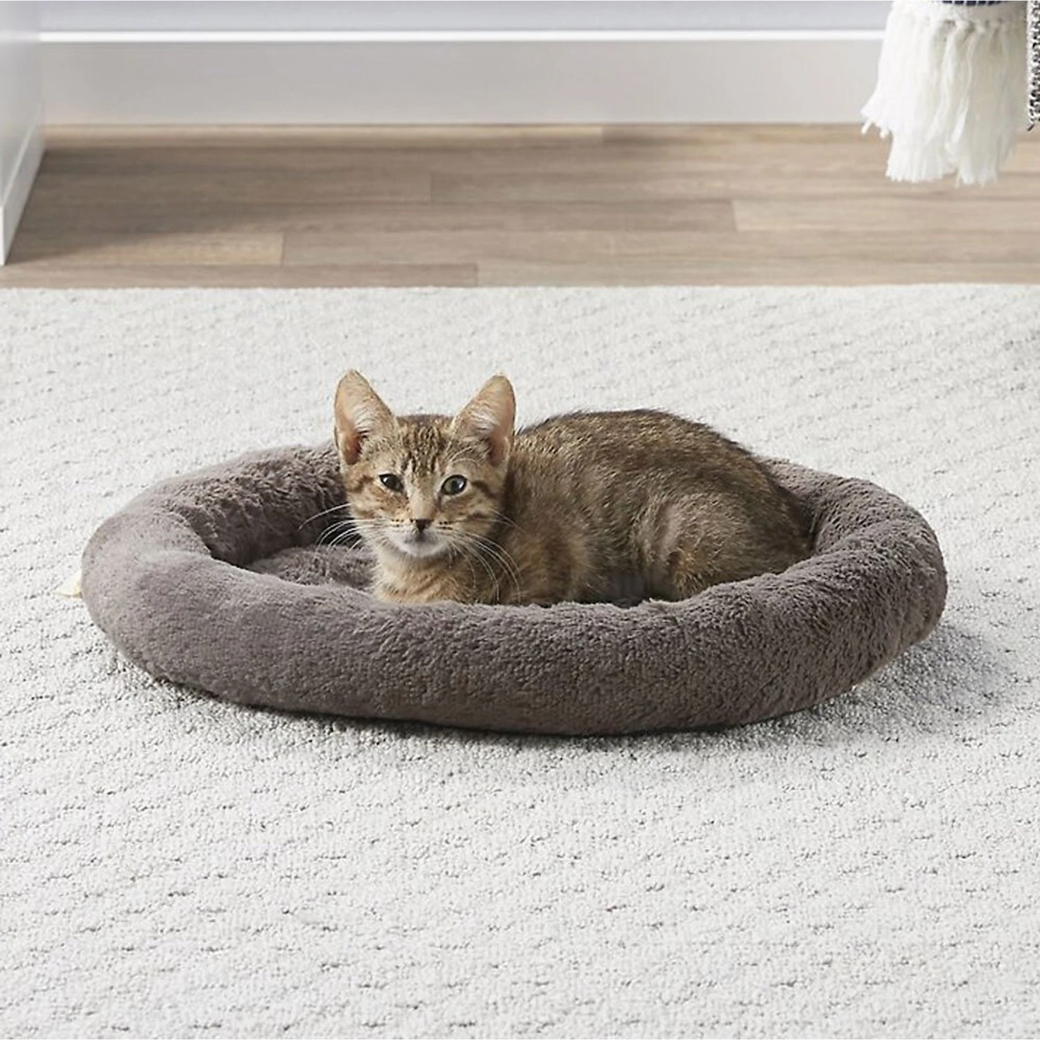 Frisco Self Warming Bolster Round Kitten Bed