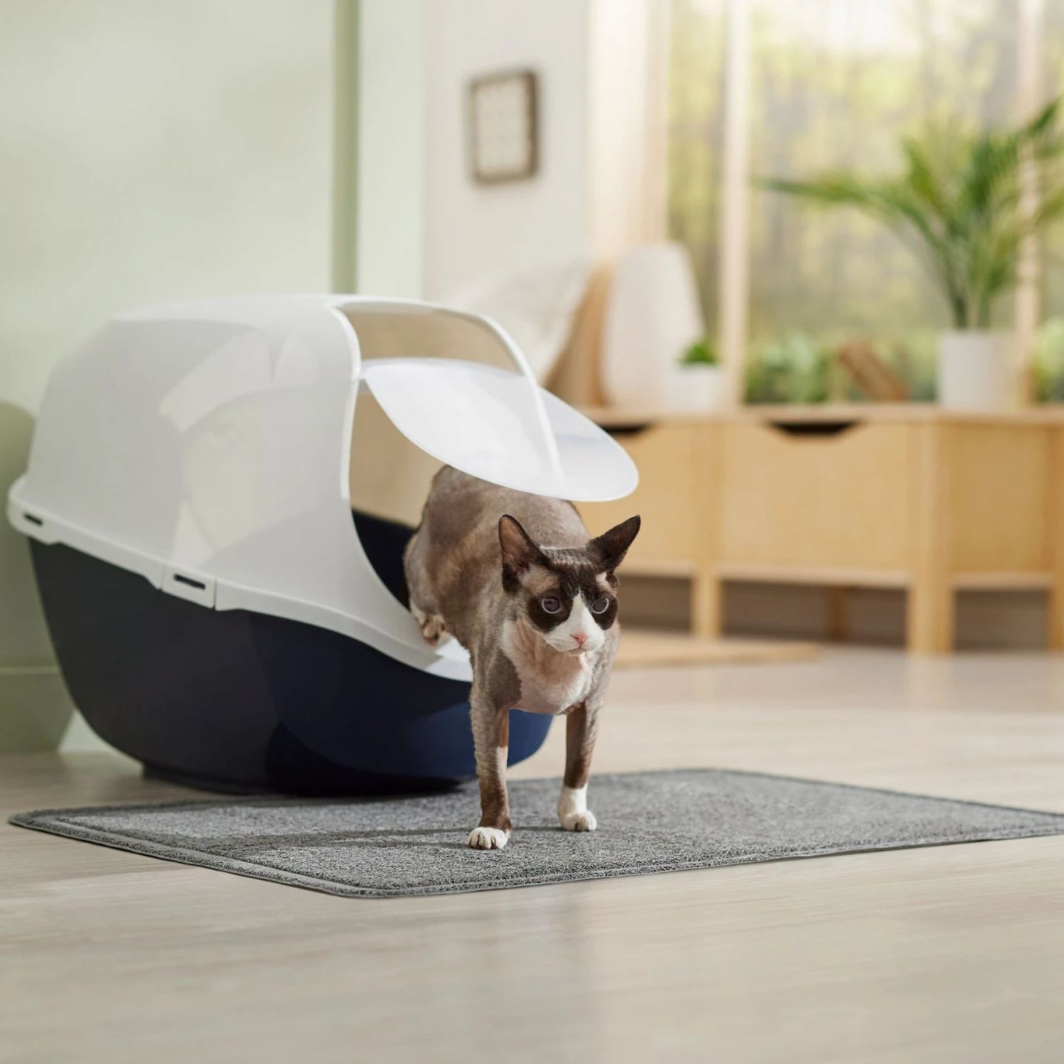 Frisco Rectangular Cat Litter Mat