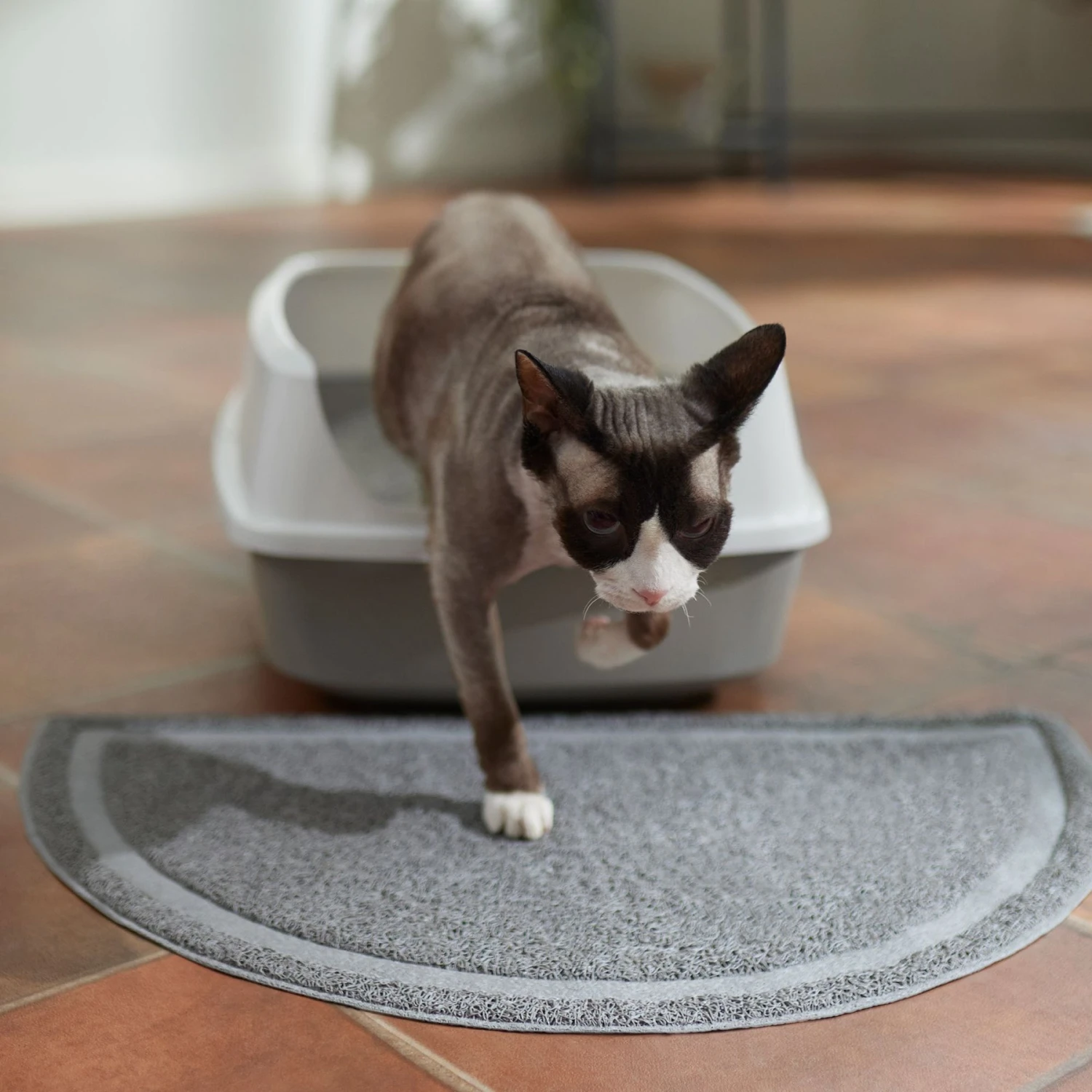 Frisco Half Moon Cat Litter Mat