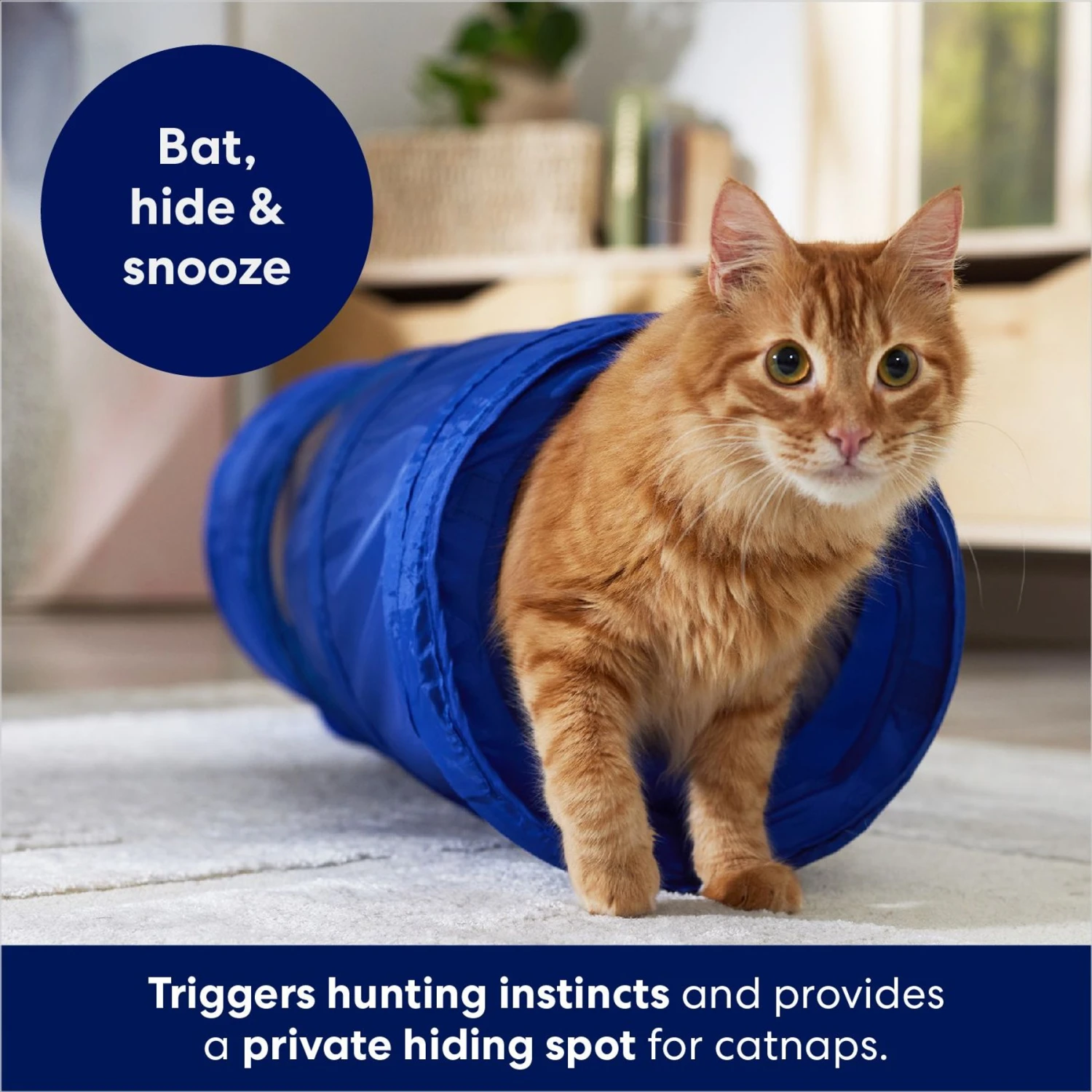 Frisco Foldable Play Tunnel with Mesh Cat Toy