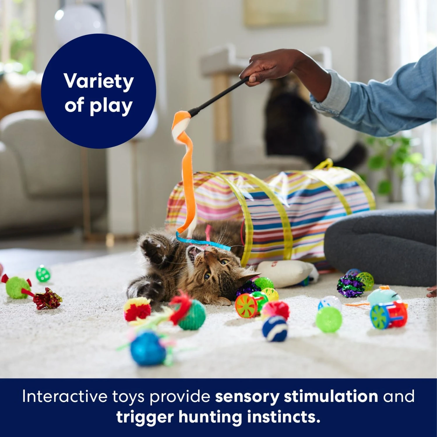 Frisco Plush, Teaser, Ball & Tunnel Variety Pack Cat Toy with Catnip