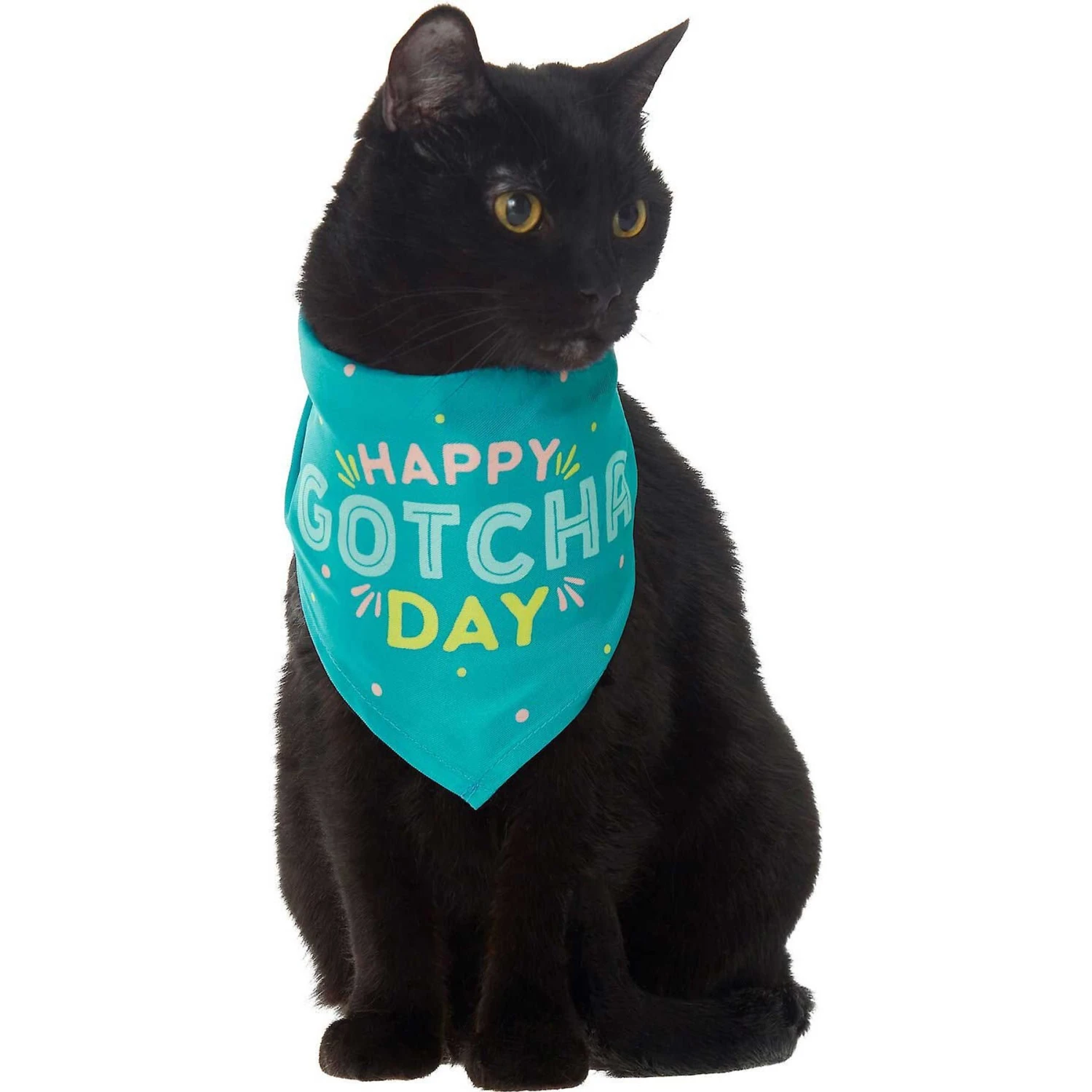 Frisco Happy Gotcha Day Dog & Cat Bandana