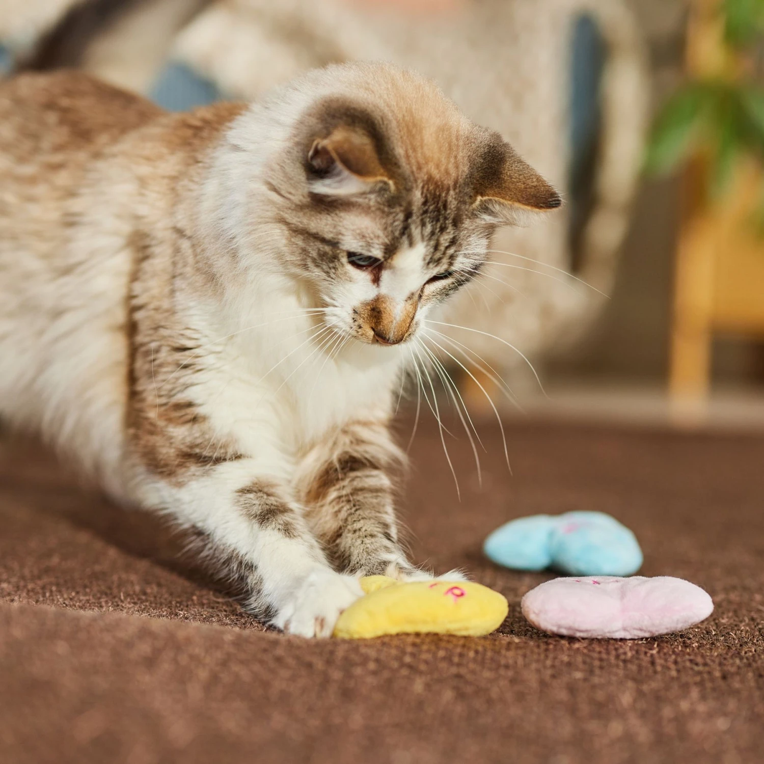 Frisco Candy Hearts Plush Cat Toy with Catnip, 3 count