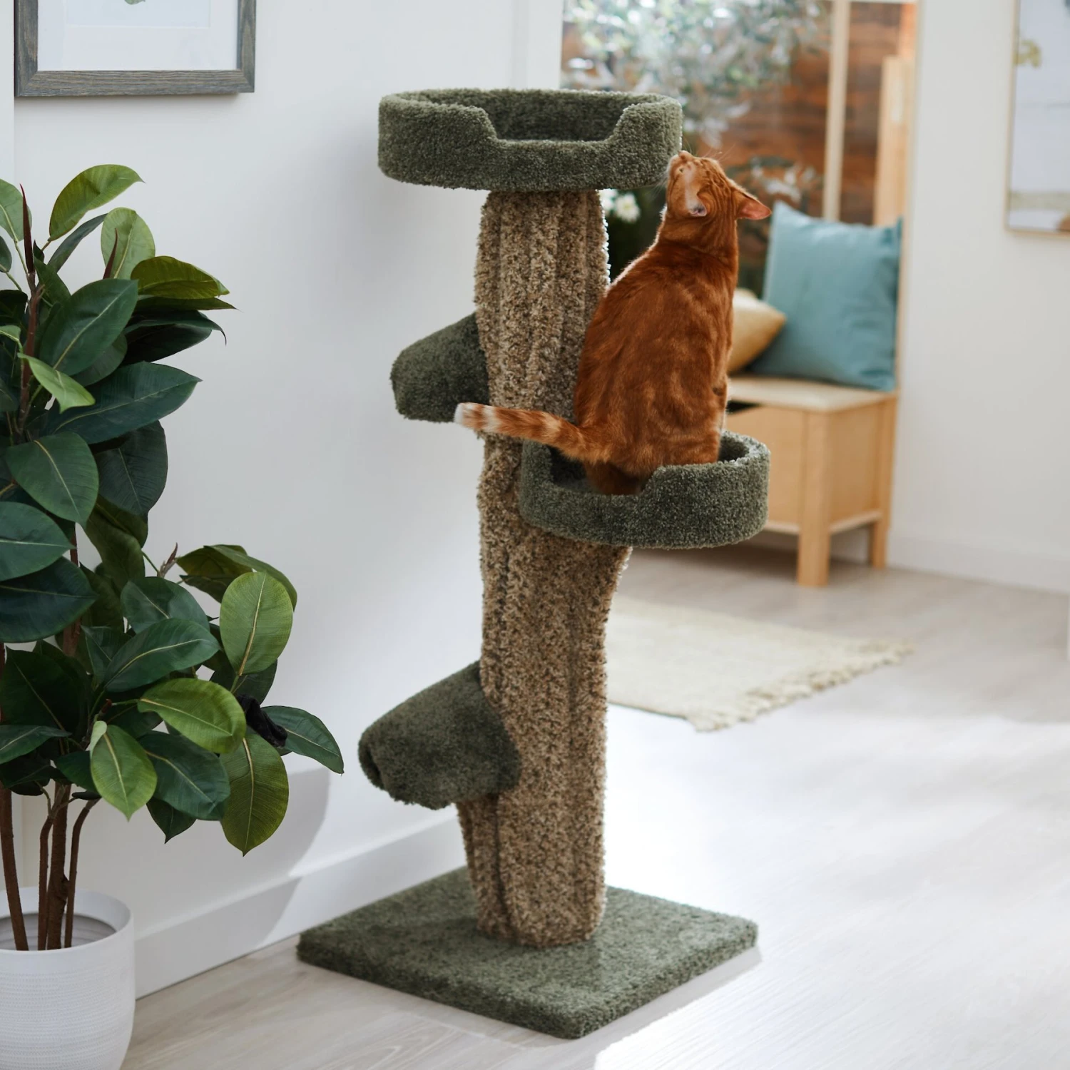 Frisco 49-in Tree-Shaped Real Carpet Wooden Cat Tree