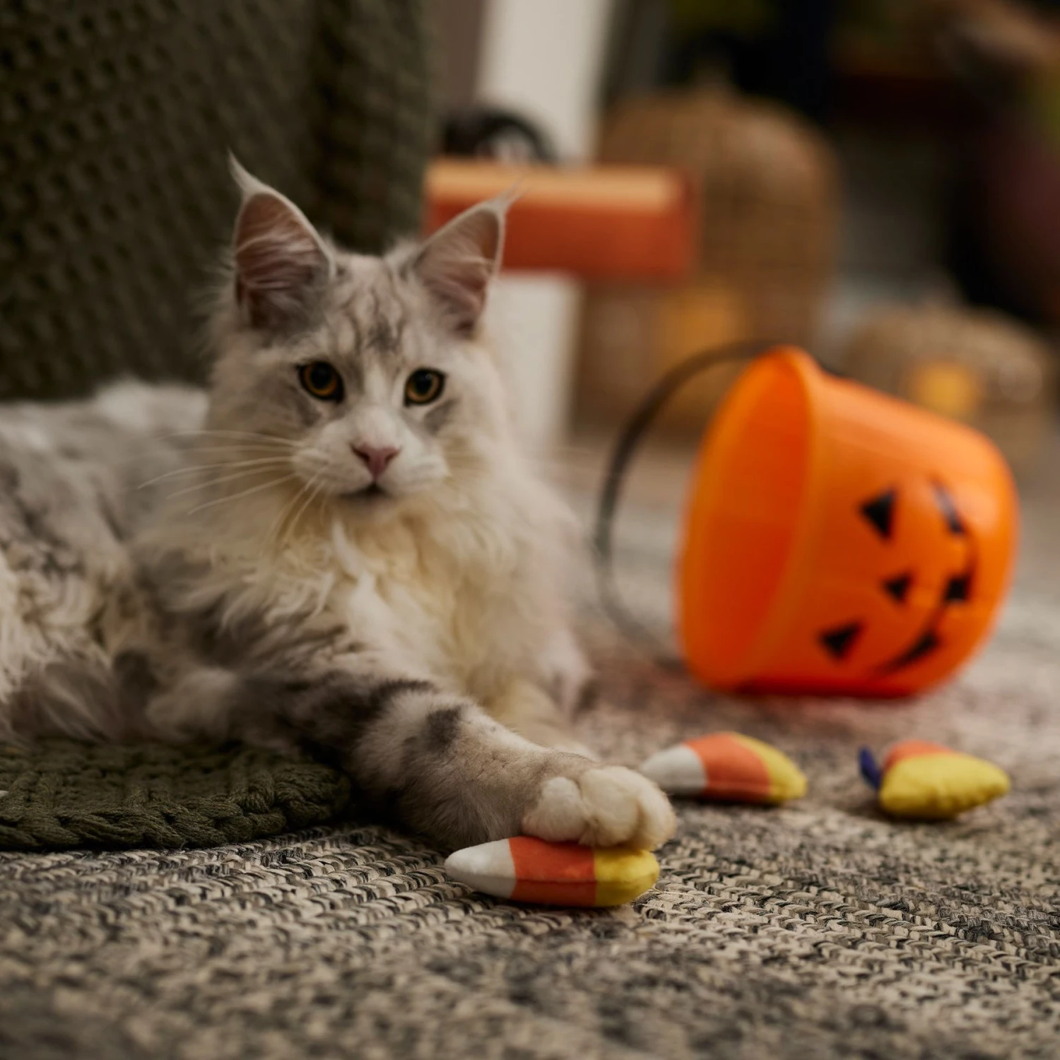 Frisco Halloween Candy Corn Plush Cat Toy with Catnip