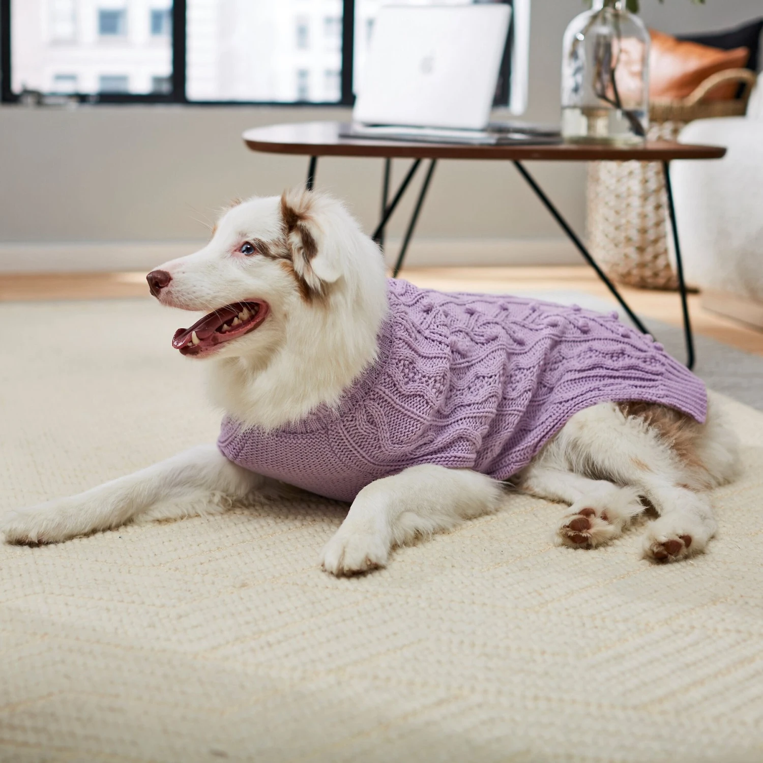Frisco Bobble-Knit Dog & Cat Turtleneck Sweater