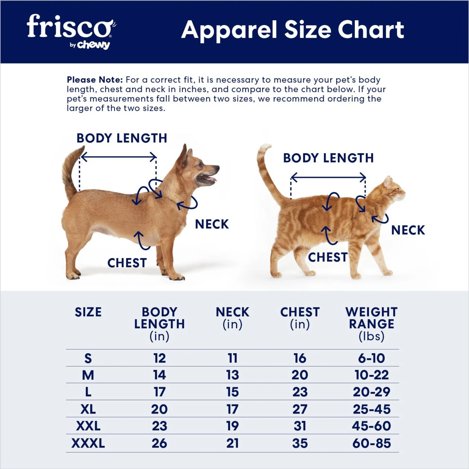 Frisco Mid-Heavyweight Love Insulated Dog & Cat Coat