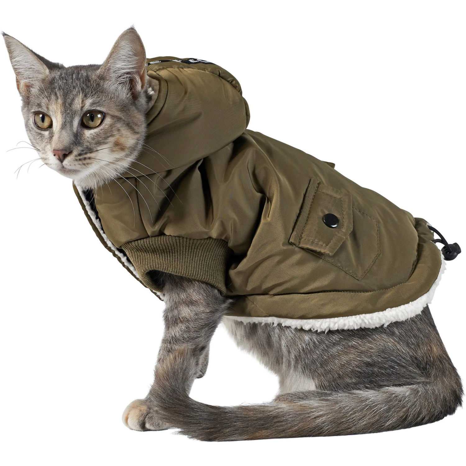 Frisco Mid-Heavyweight Love Insulated Dog & Cat Coat