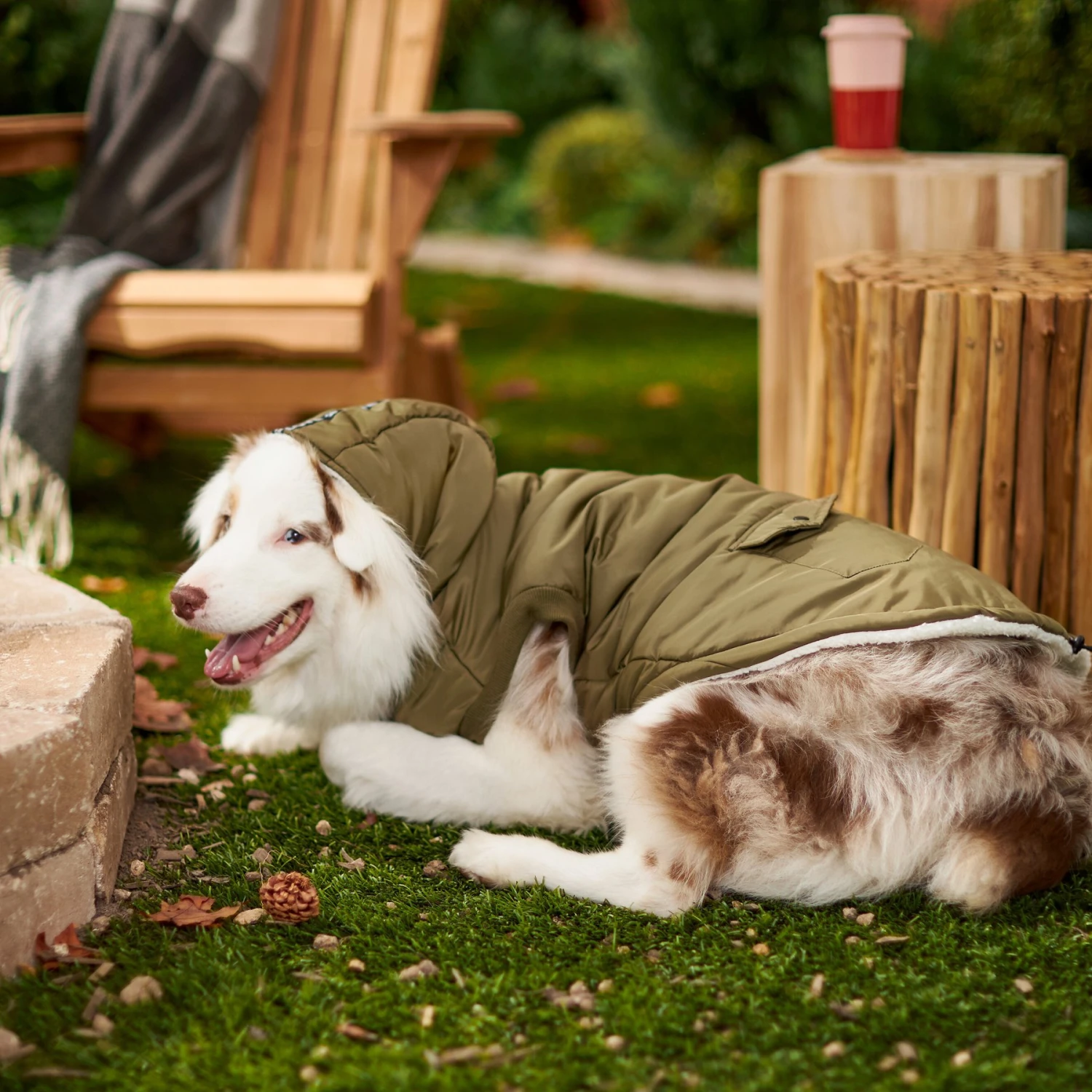 Frisco Mid-Heavyweight Love Insulated Dog & Cat Coat