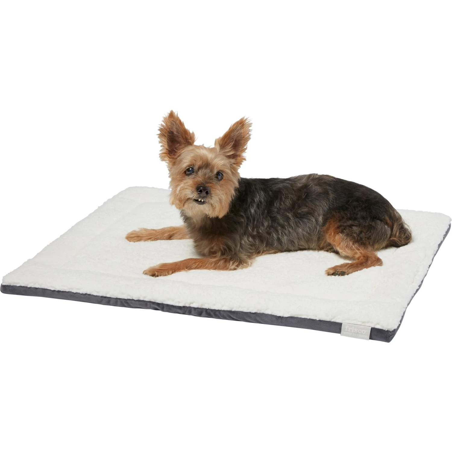 Frisco Self Warming Pillow Rectangular Pet Bed