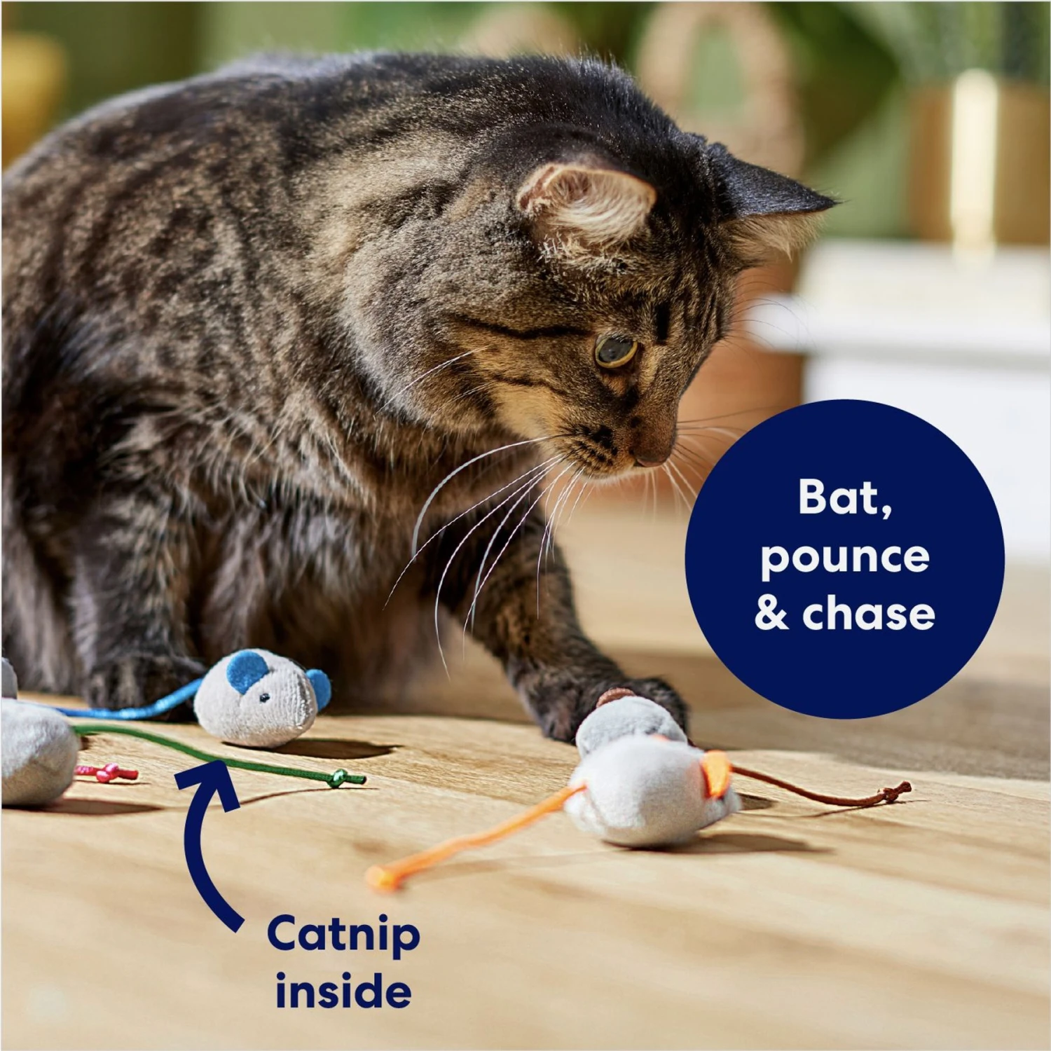 Frisco Mice Plush Cat Toy with Catnip