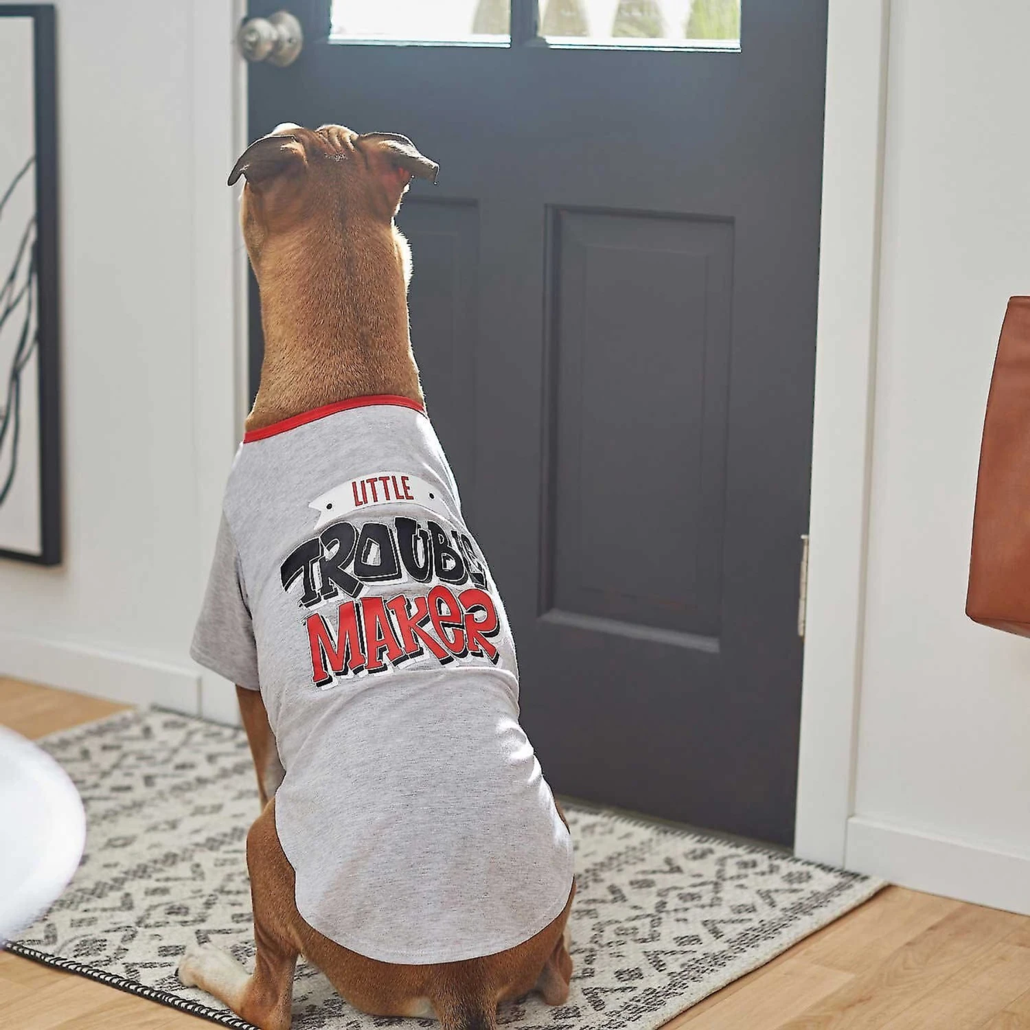 Frisco Little Trouble Maker Dog & Cat T-Shirt