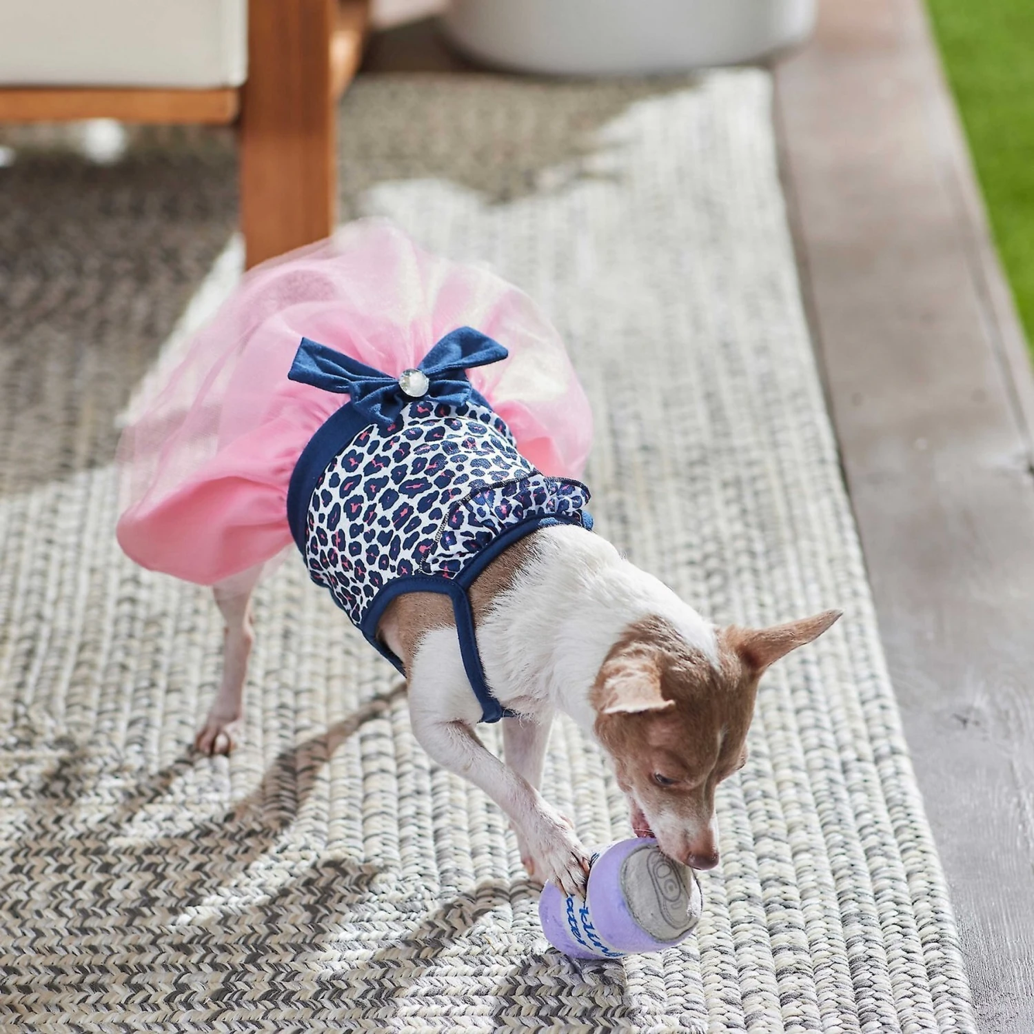 Frisco Leopard Print Dog & Cat Dress