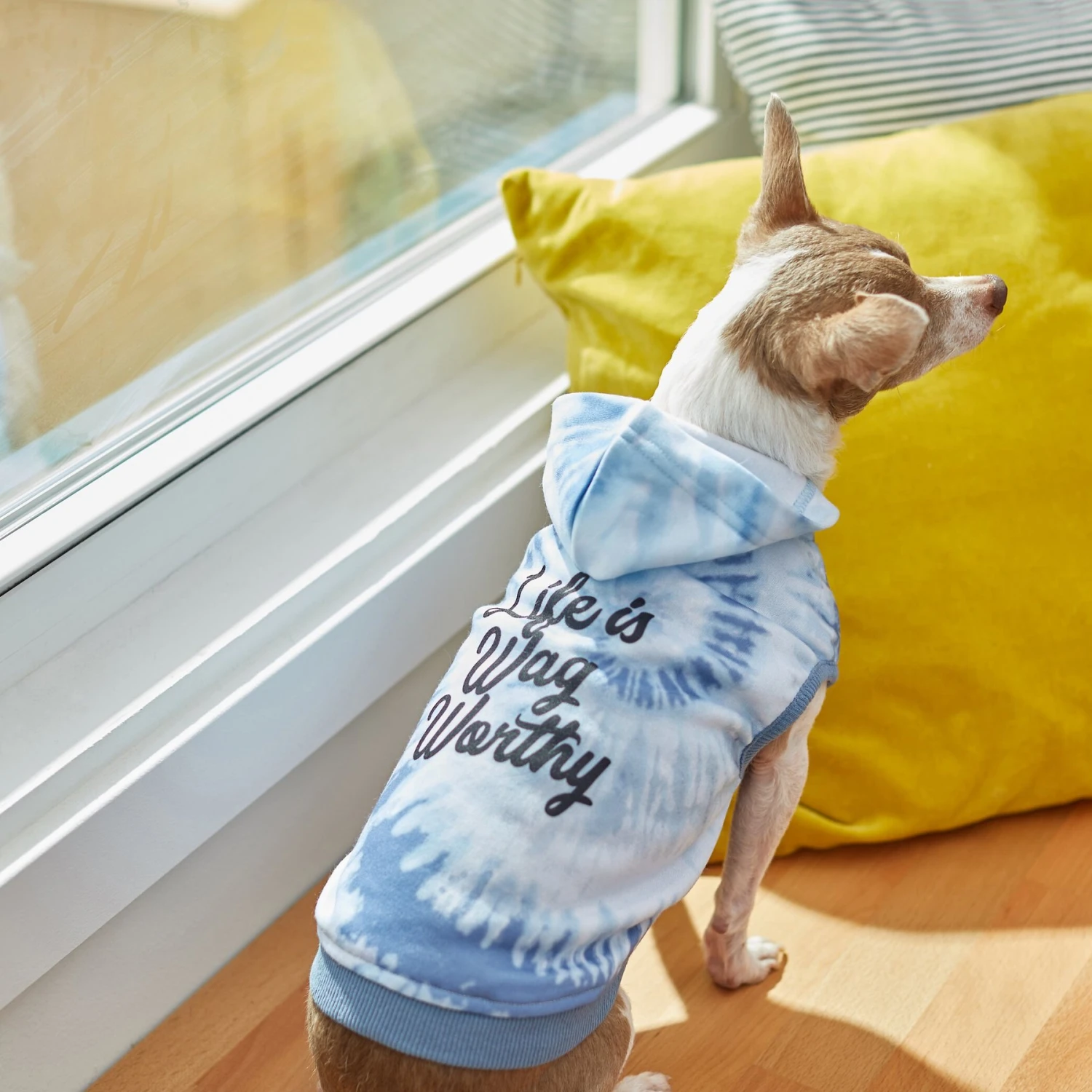 Frisco Life Is Wag Worthy Tiedye Print Dog & Cat Hoodie