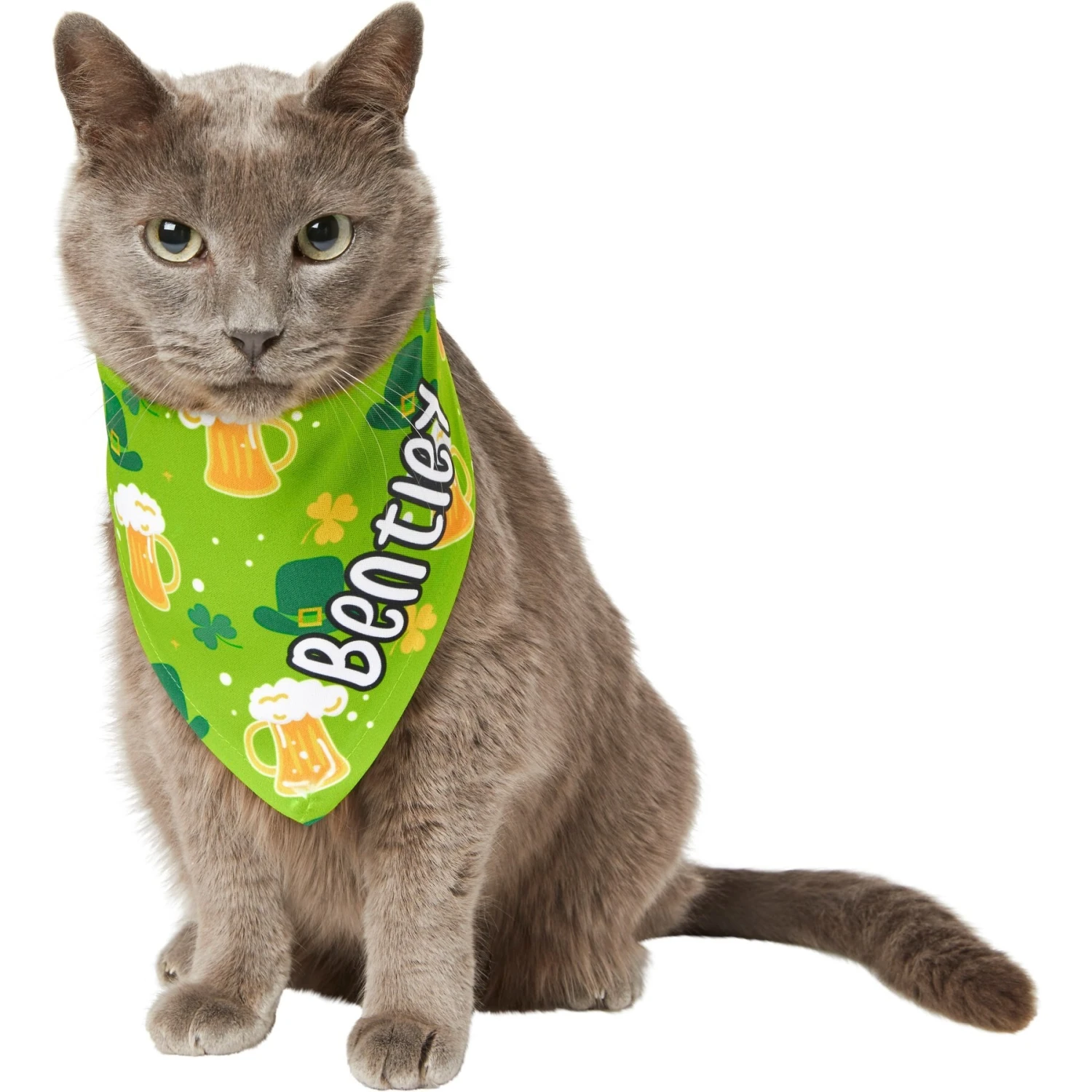 Frisco Green Ale Personalized Dog & Cat Bandana