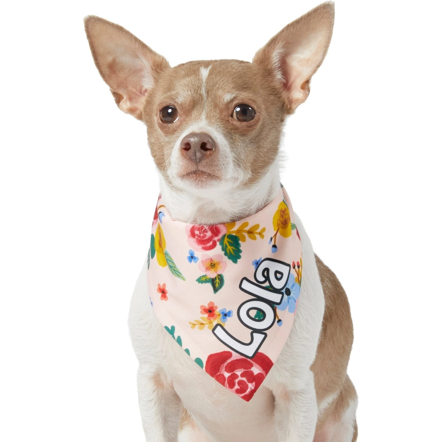 Frisco Floral Personalized Dog & Cat Bandana