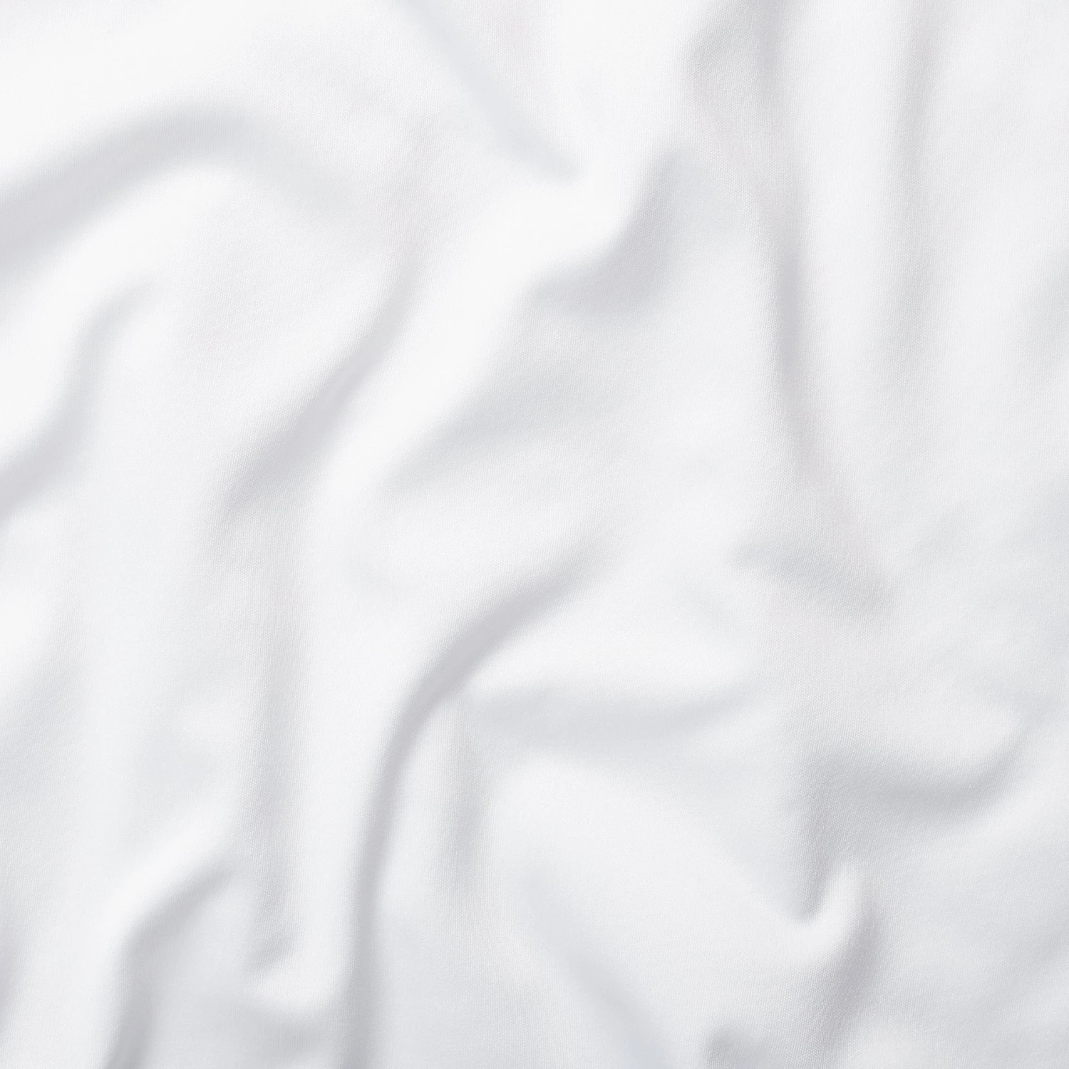 Frisco Floral Personalized Dog & Cat Bandana