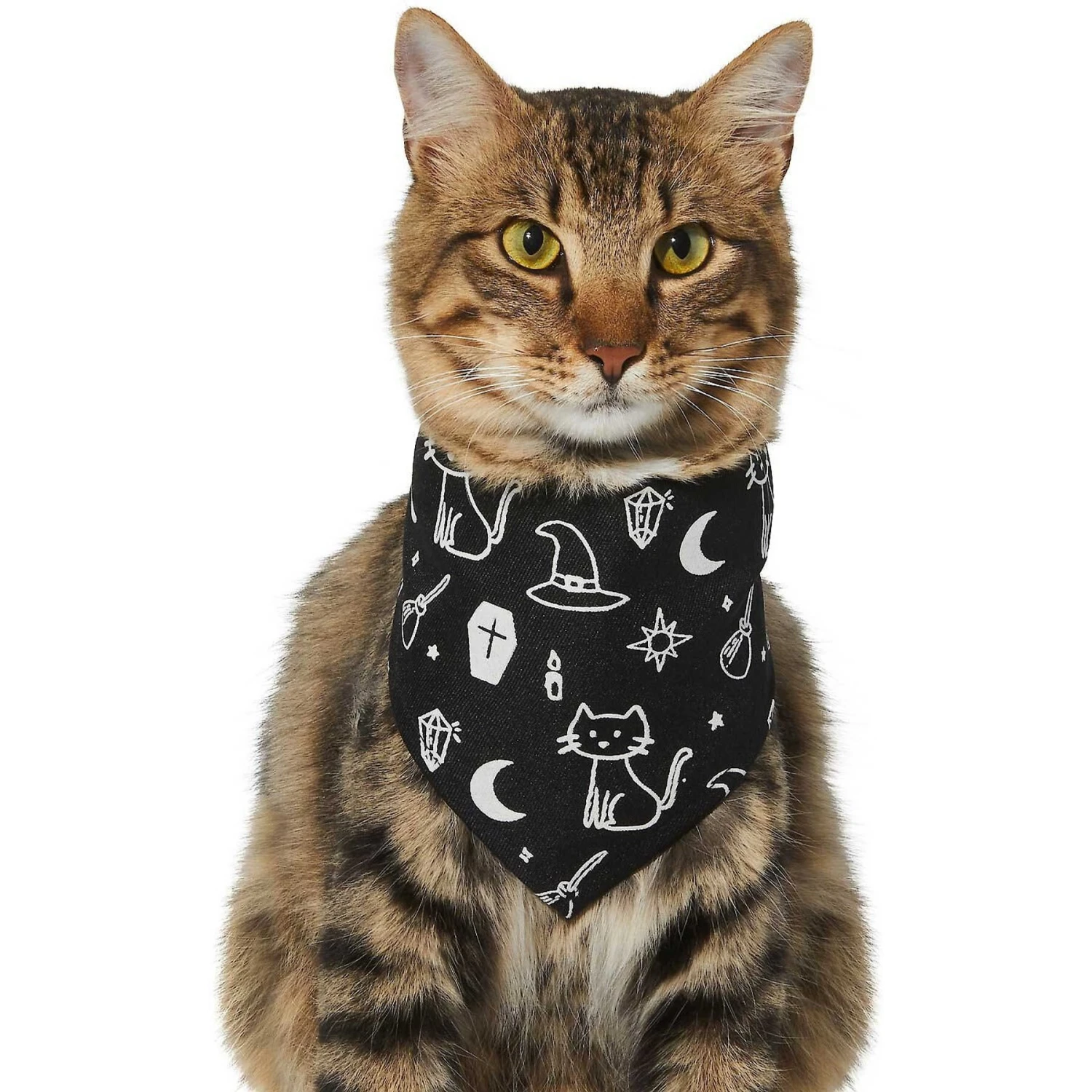 Frisco Glow in the Dark Mystical Print Dog & Cat Bandana