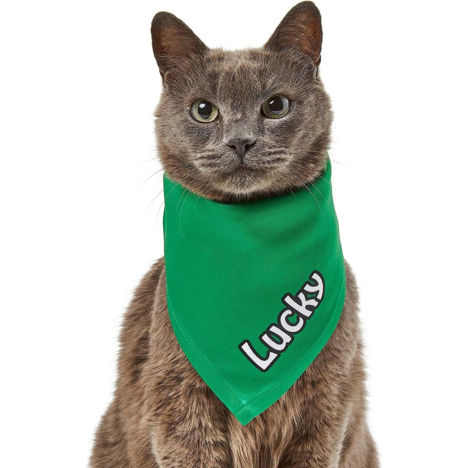 Frisco Solid Color Personalized Dog & Cat Bandana