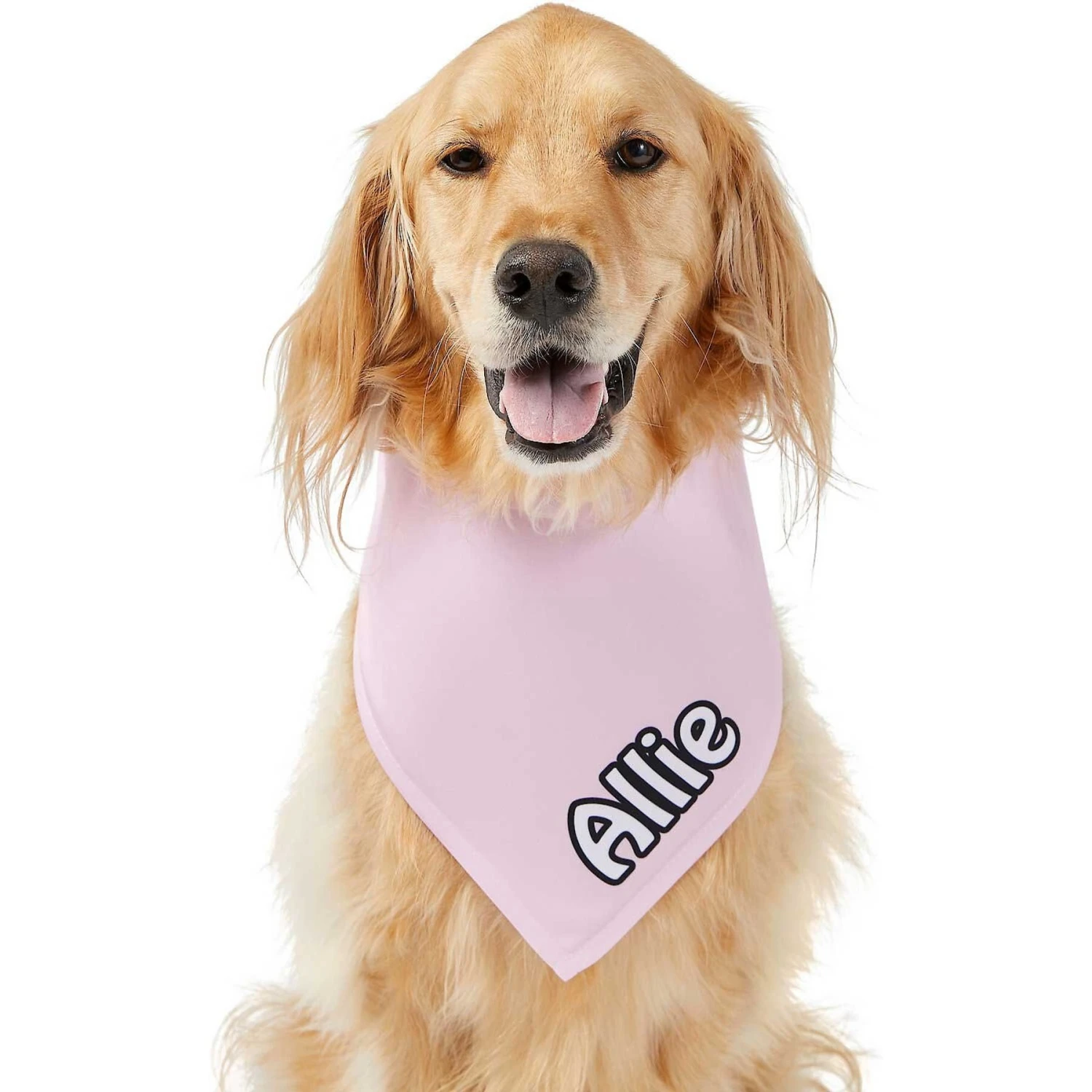 Frisco Solid Pastel Personalized Dog & Cat Bandana