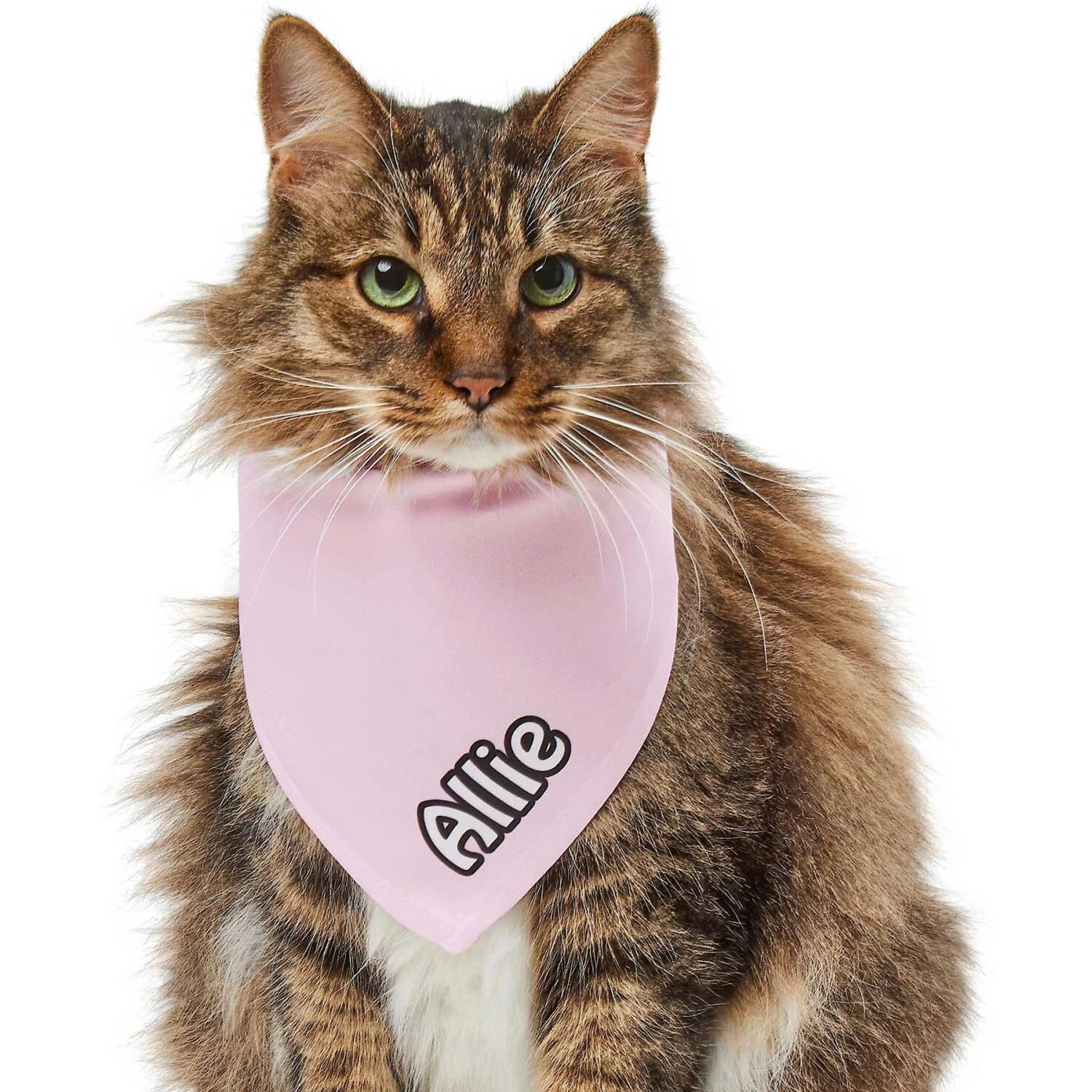 Frisco Solid Pastel Personalized Dog & Cat Bandana