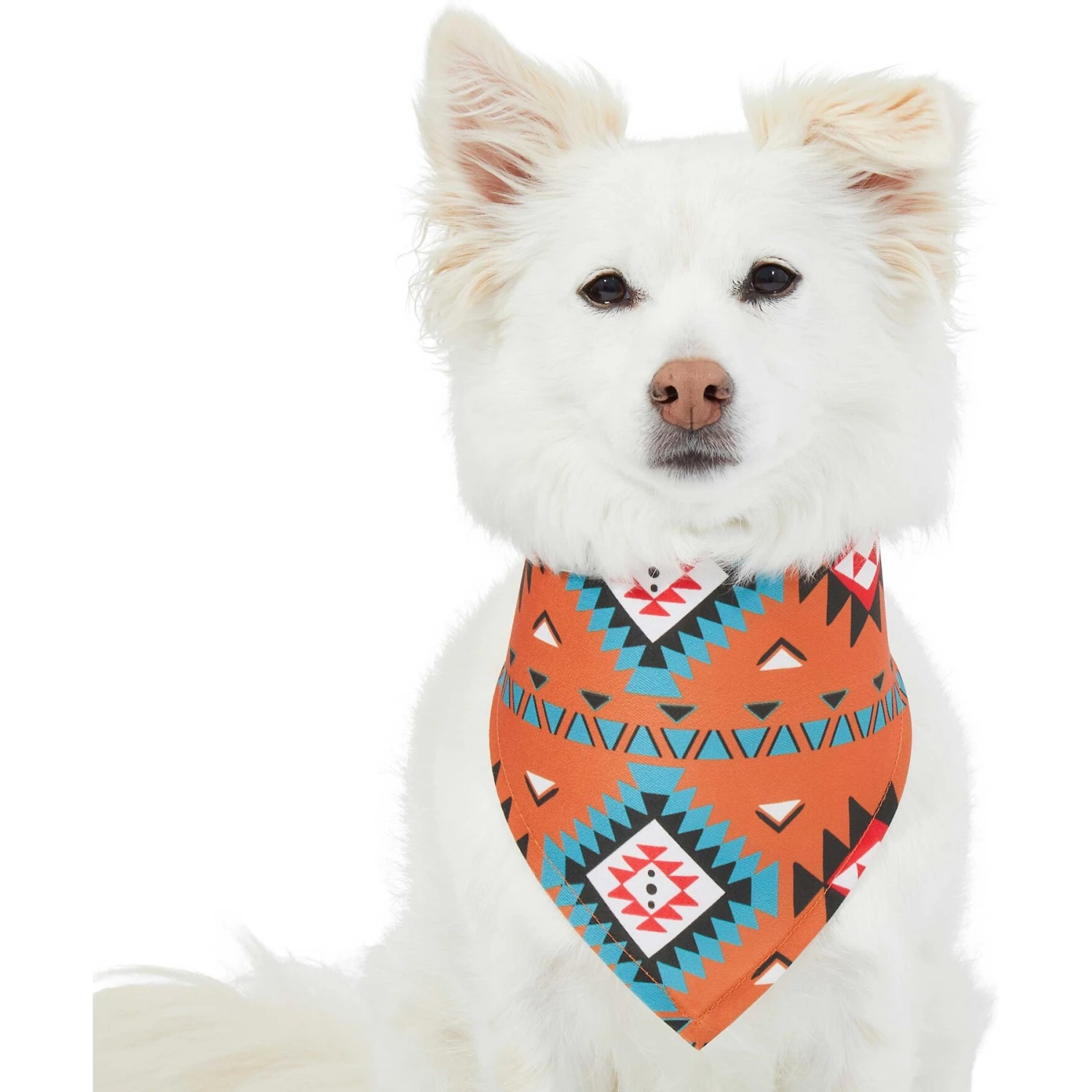 Frisco Southwest Dog & Cat Bandana