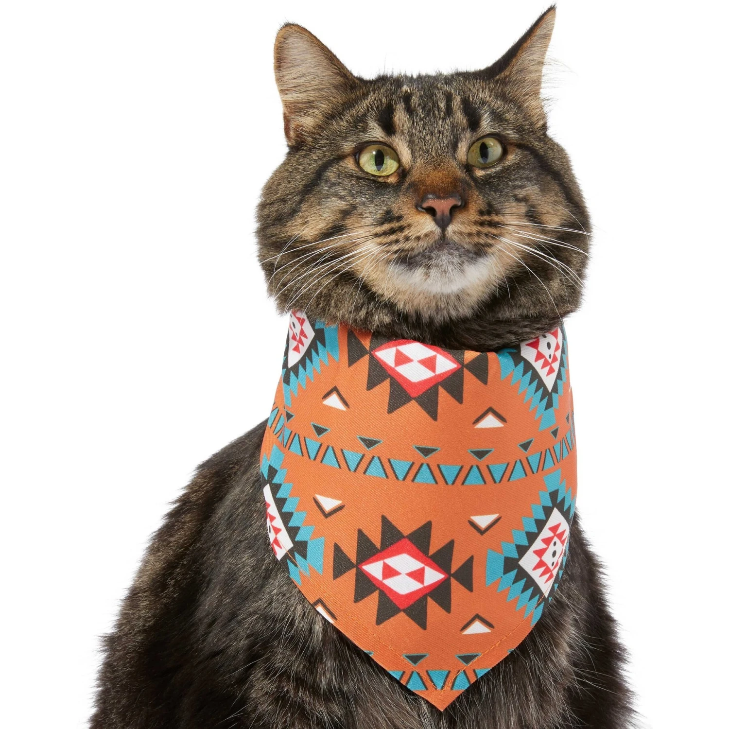 Frisco Southwest Dog & Cat Bandana