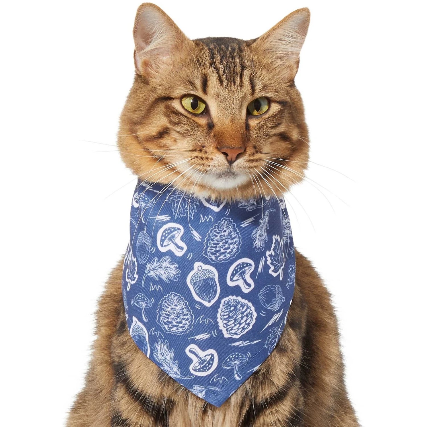 Frisco Fall Vibes Dog & Cat Bandana