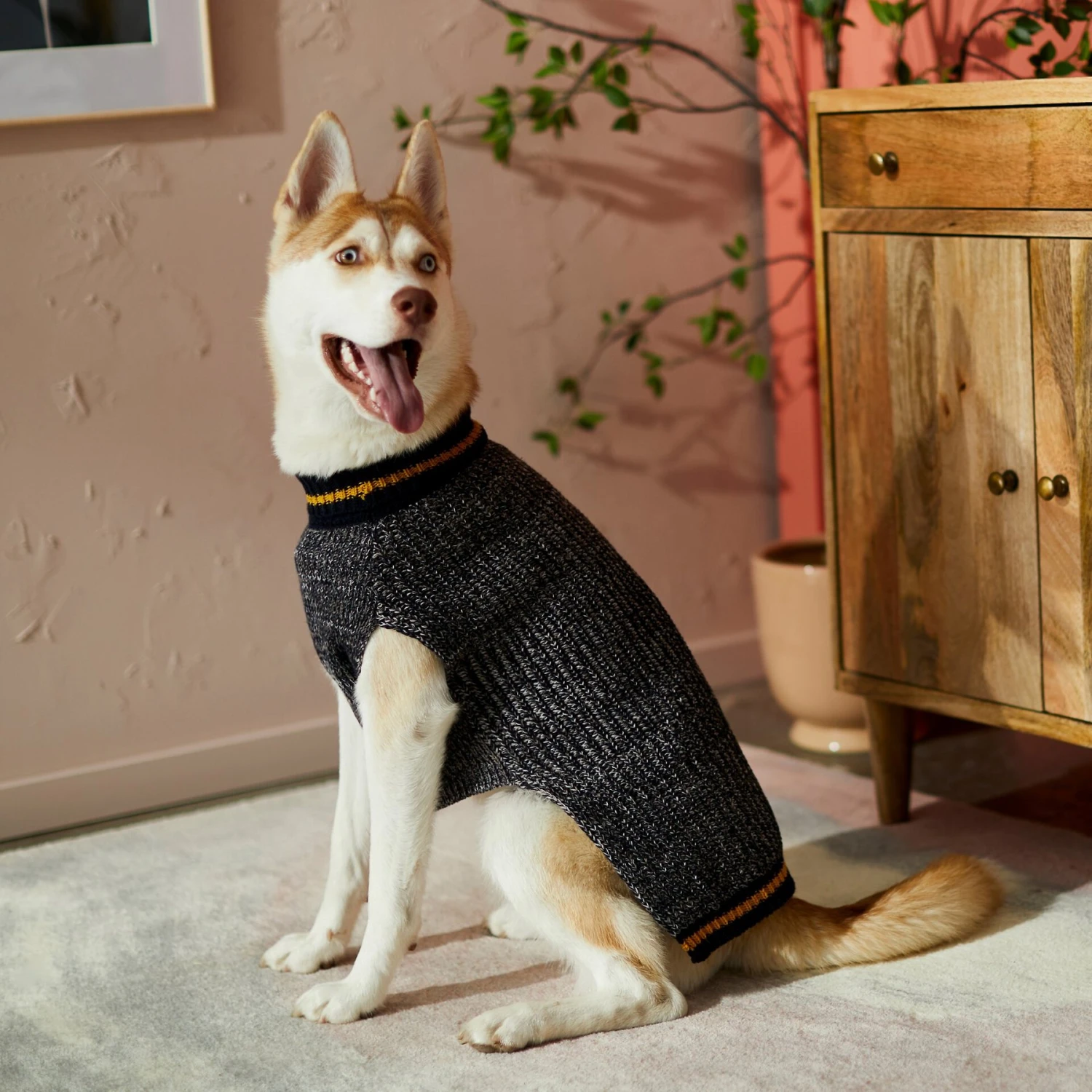 Frisco Heathered Knit Dog & Cat Sweater with 60% Recycled Content