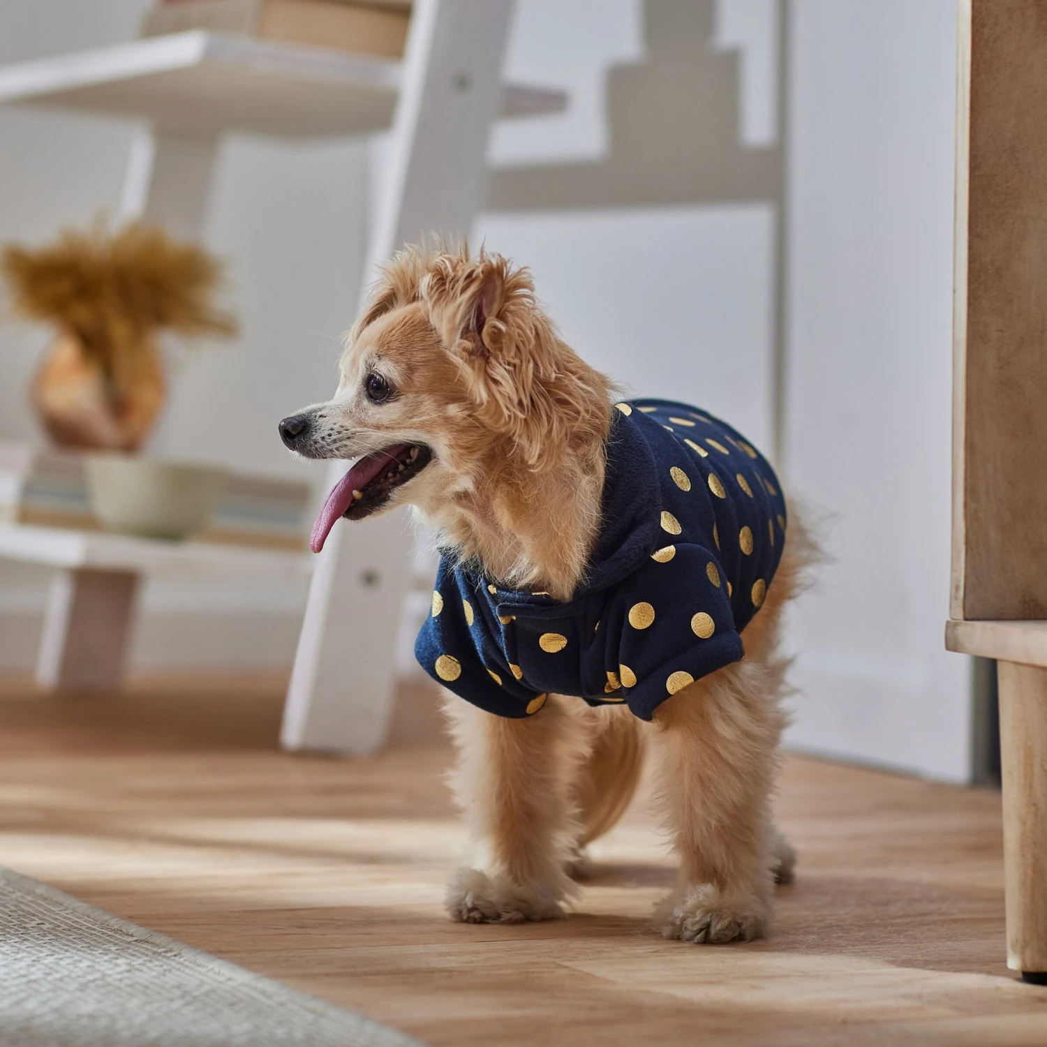 Frisco Lightweight Gold Dotted Dog & Cat Jacket, Navy