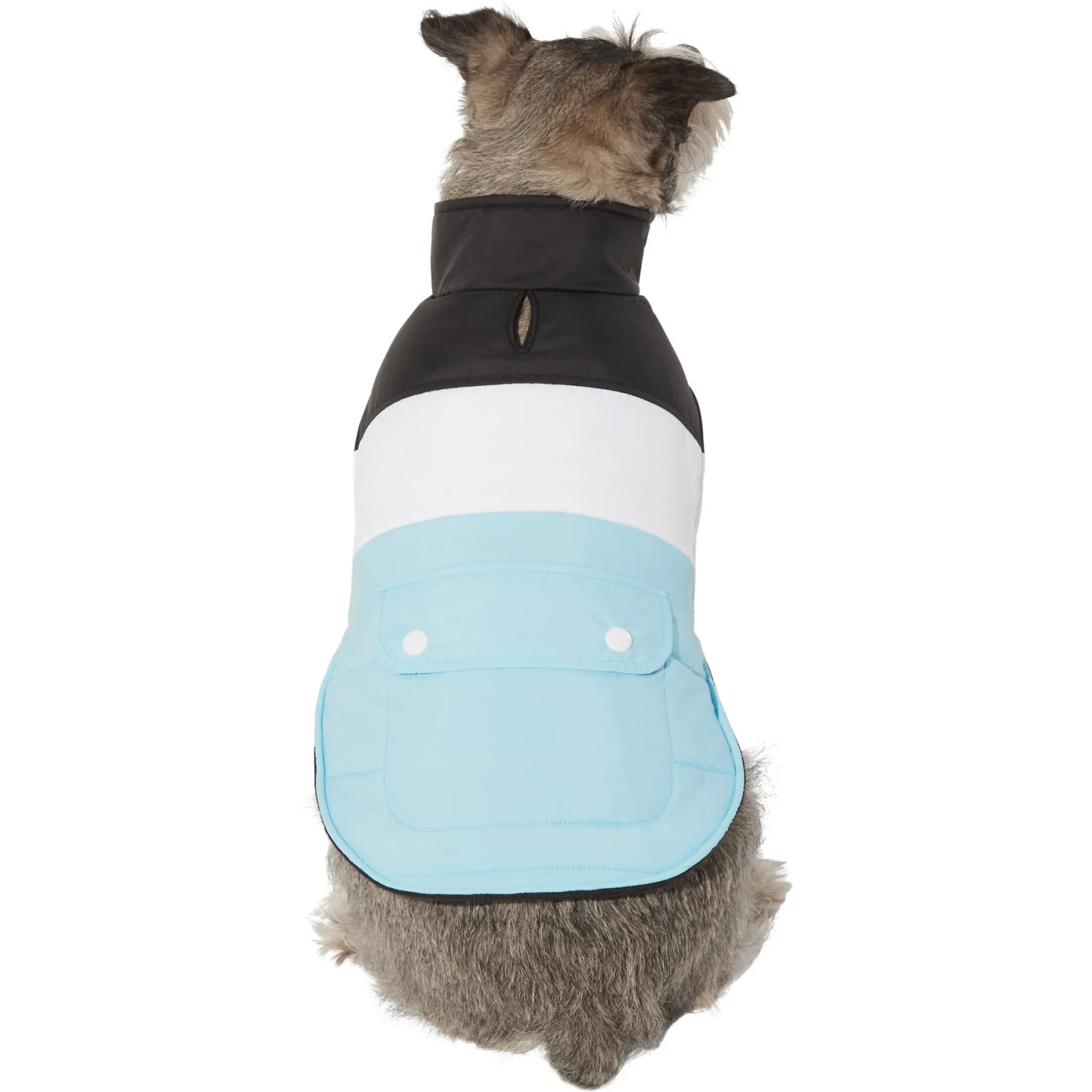 Frisco Mediumweight Colorblock Insulated Dog & Cat Puffer Coat with Pocket, Blue