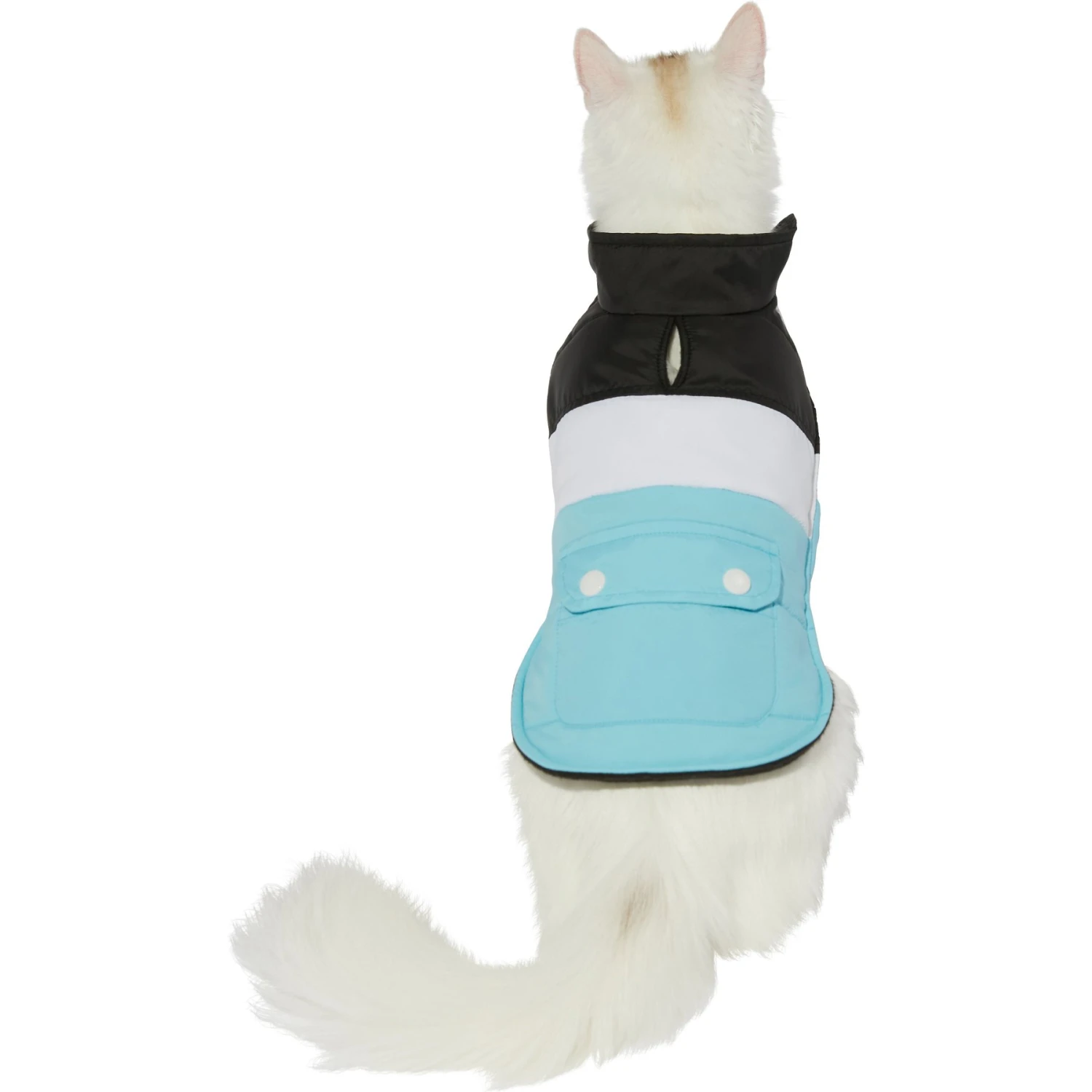 Frisco Mediumweight Colorblock Insulated Dog & Cat Puffer Coat with Pocket, Blue
