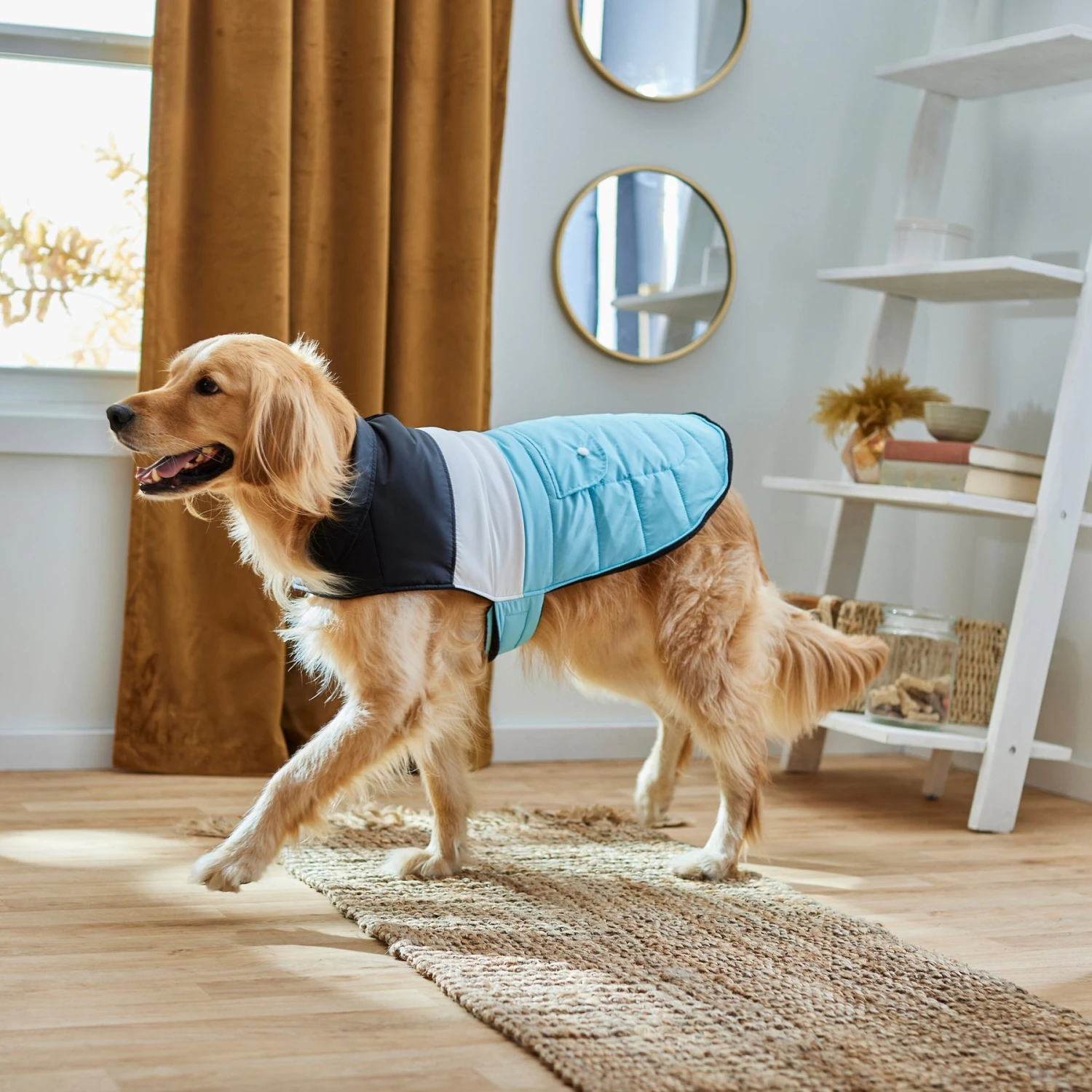 Frisco Mediumweight Colorblock Insulated Dog & Cat Puffer Coat with Pocket, Blue