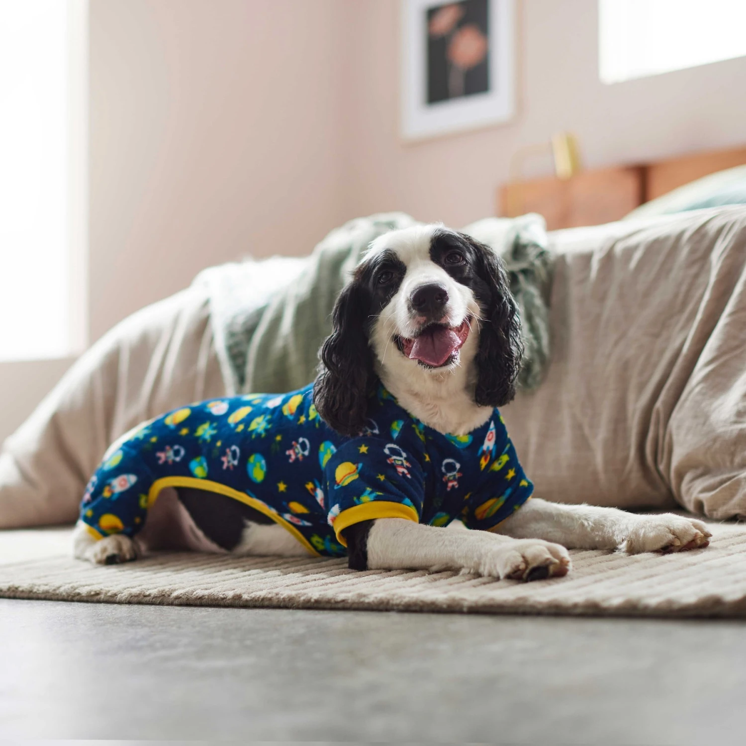 Frisco Dog & Cat Cozy Plush Fleece PJs, Outer Space