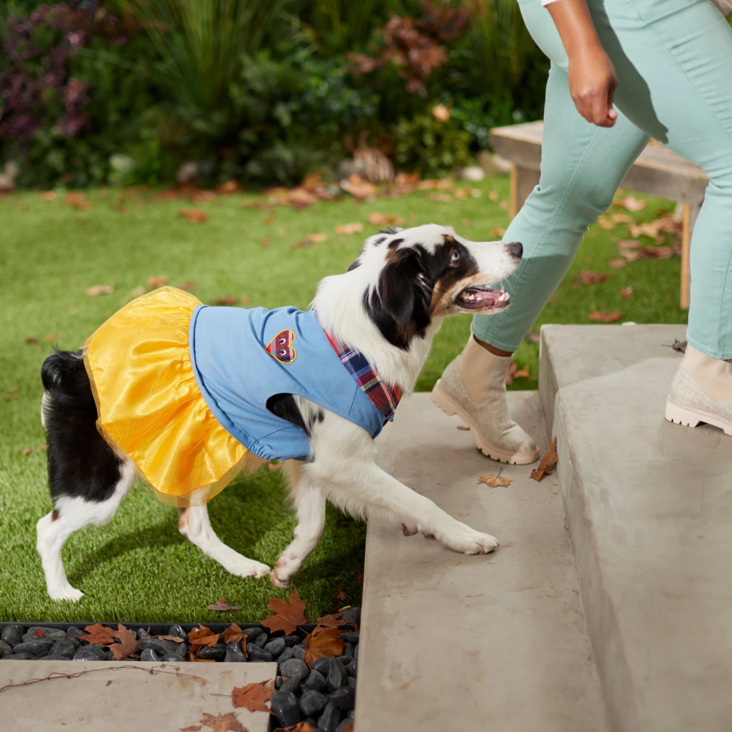 Frisco Chambray Plaid Dog & Cat Dress