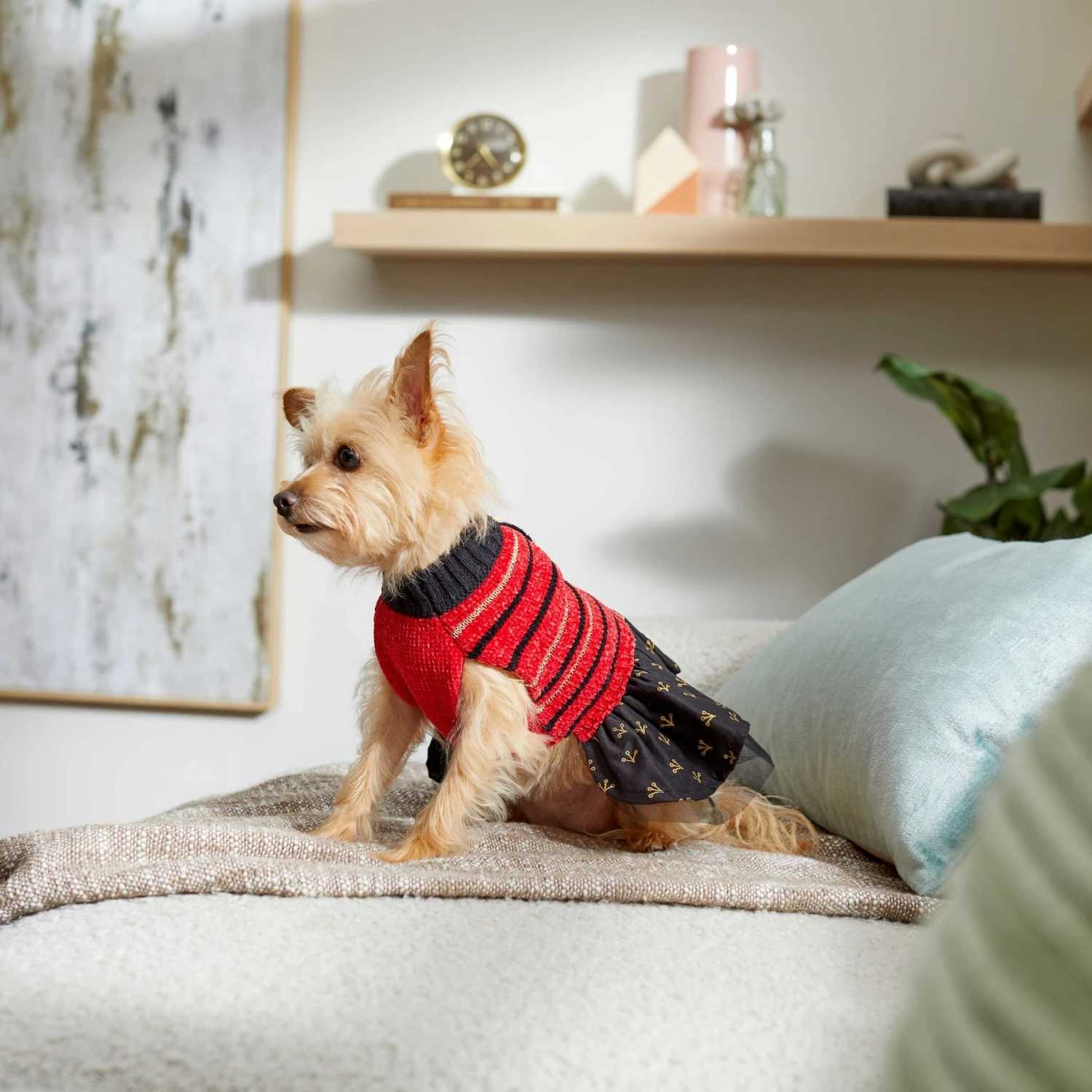 Frisco Chenille Knit Striped Dog & Cat Dress