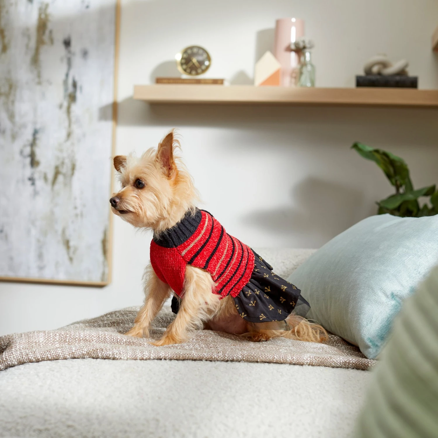 Frisco Chenille Knit Striped Dog & Cat Dress