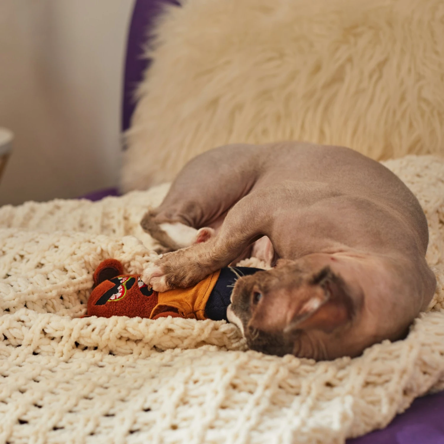 Frisco Halloween Good Bear, Bad Bear Reversible Plush Cat Toy with Catnip