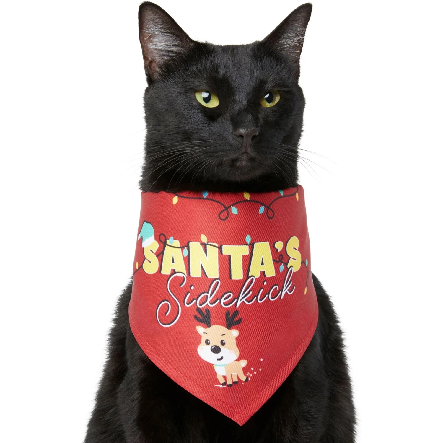 Frisco Santa's Sidekick Dog & Cat Bandana