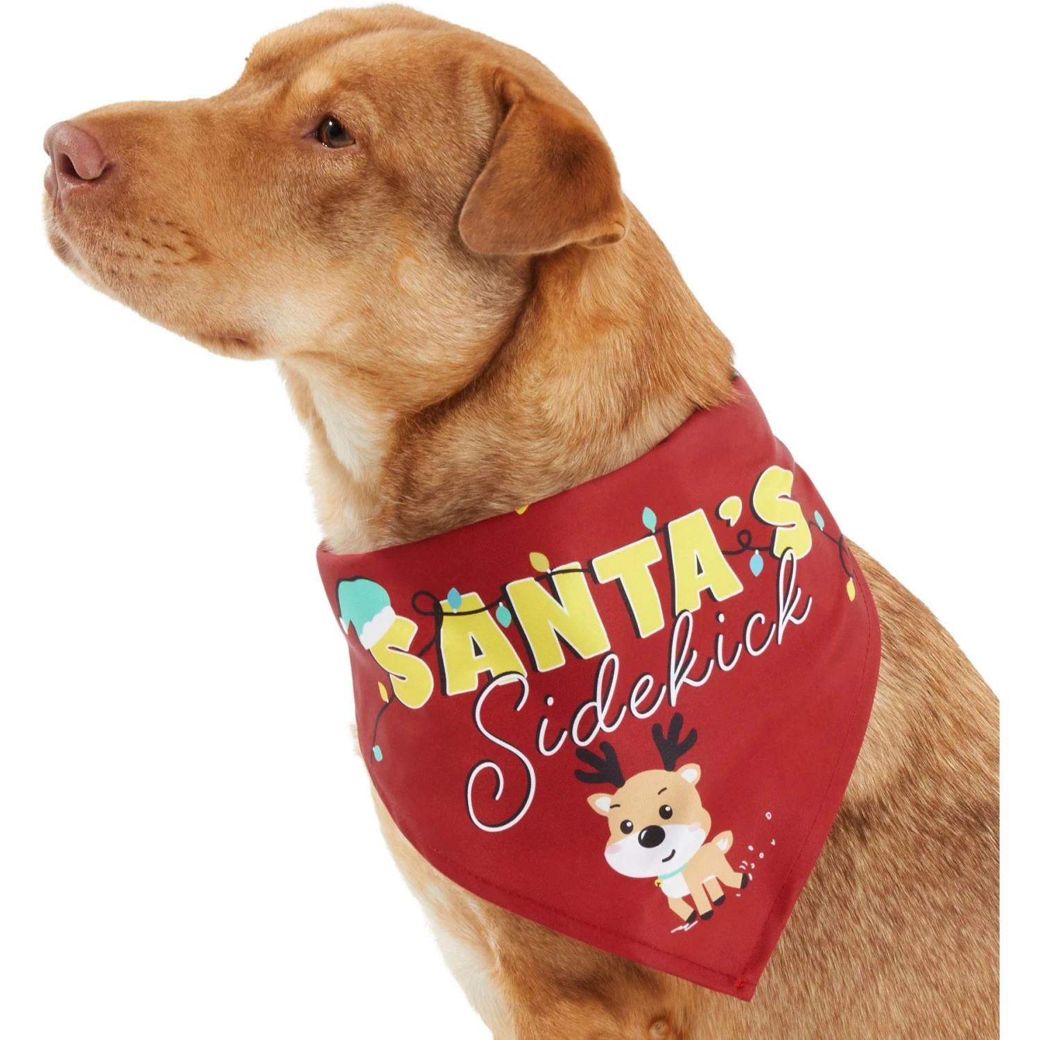 Frisco Santa's Sidekick Dog & Cat Bandana