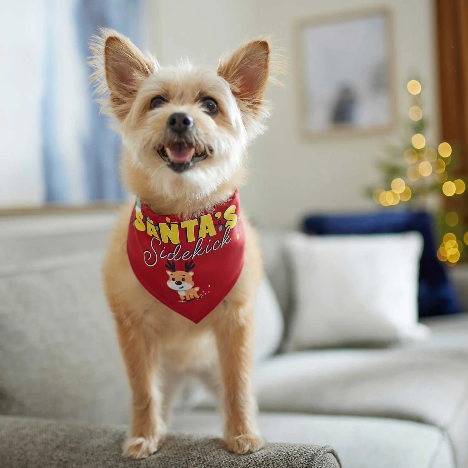 Frisco Santa's Sidekick Dog & Cat Bandana