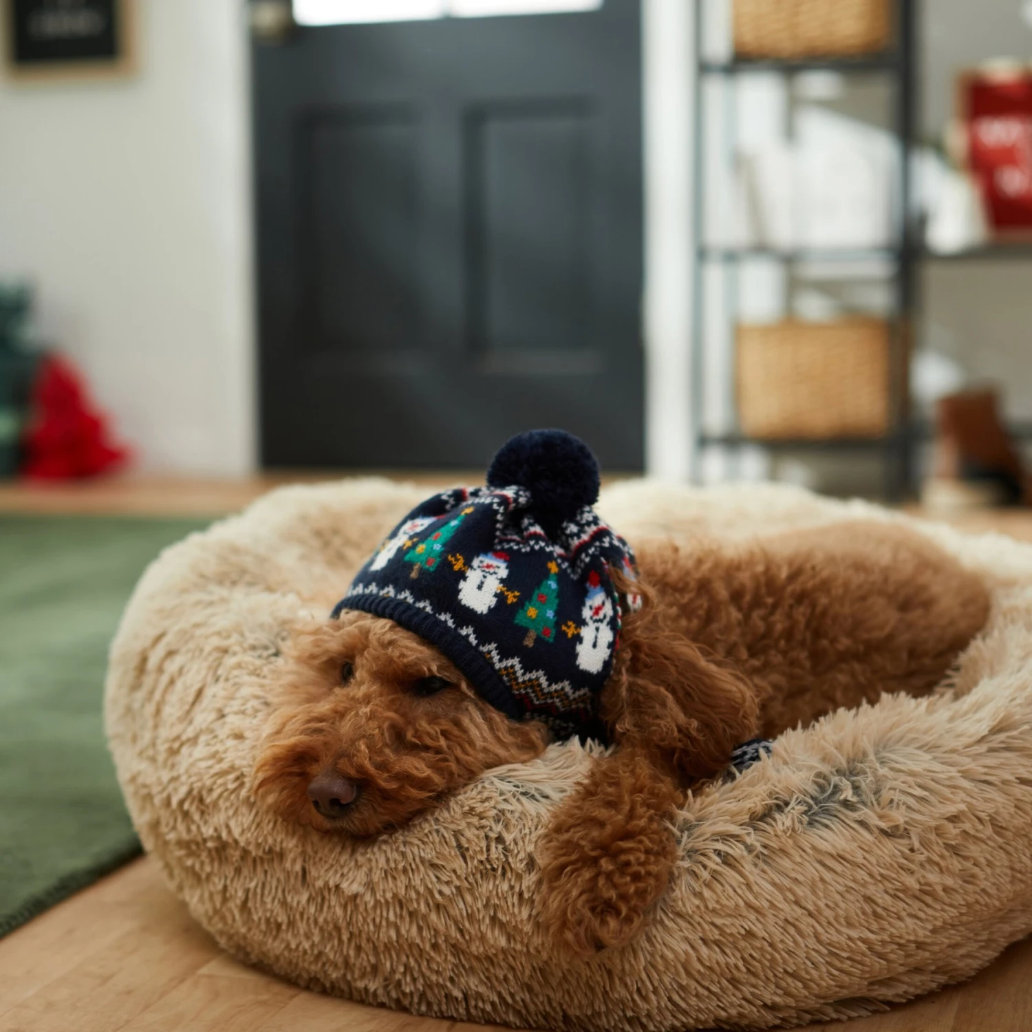 Frisco Jolly Snowman Dog & Cat Knitted Hat