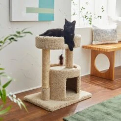 Frisco 27-in Real Carpet Cat Tree With Condo And Oval Perch