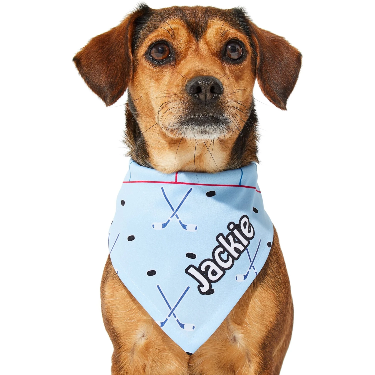 Frisco Ice Hockey Personalized Dog & Cat Bandana
