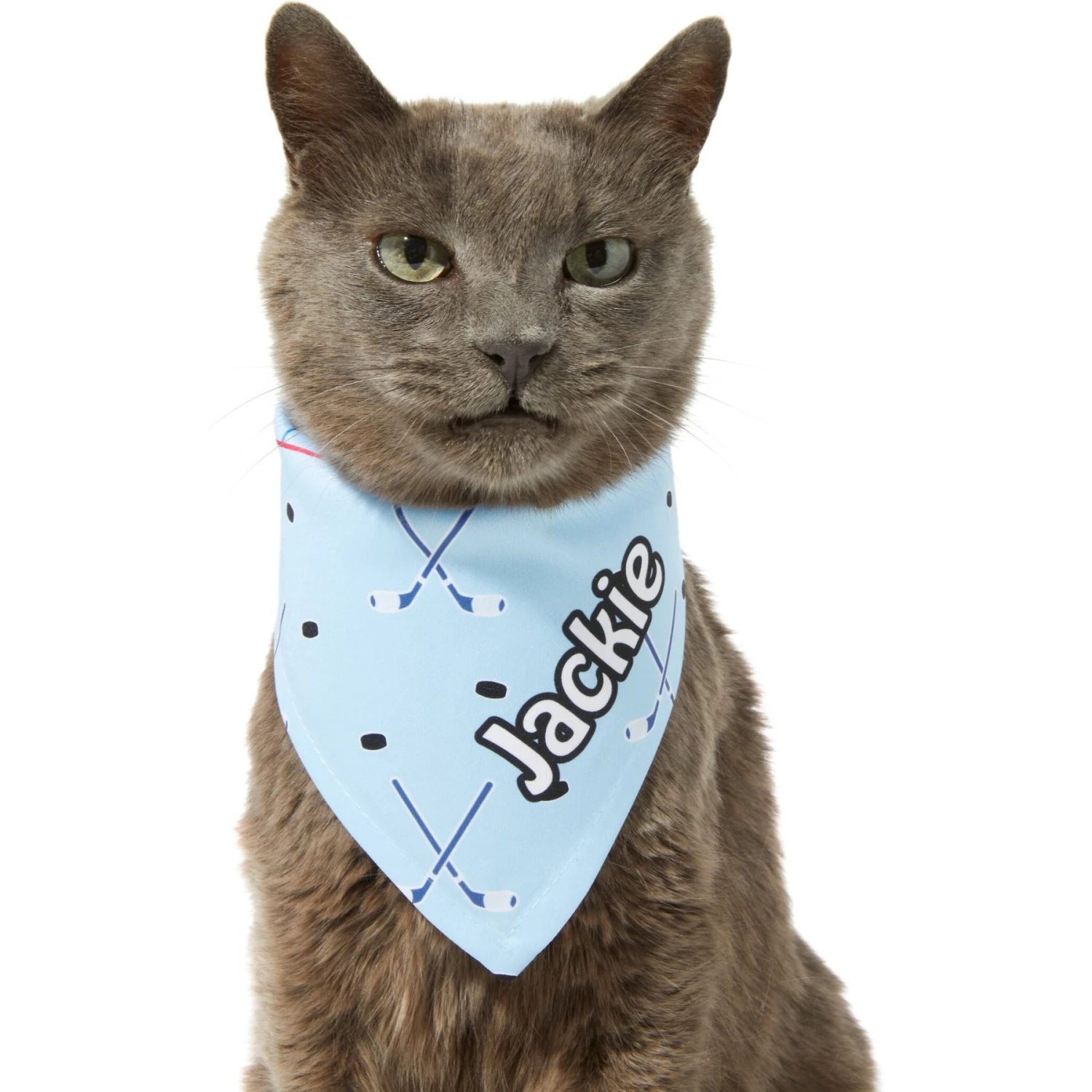 Frisco Ice Hockey Personalized Dog & Cat Bandana