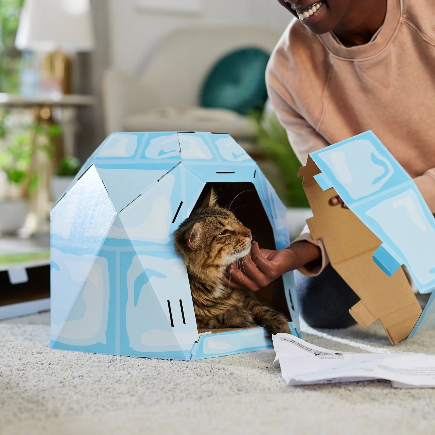 Frisco Igloo Cardboard Cat House